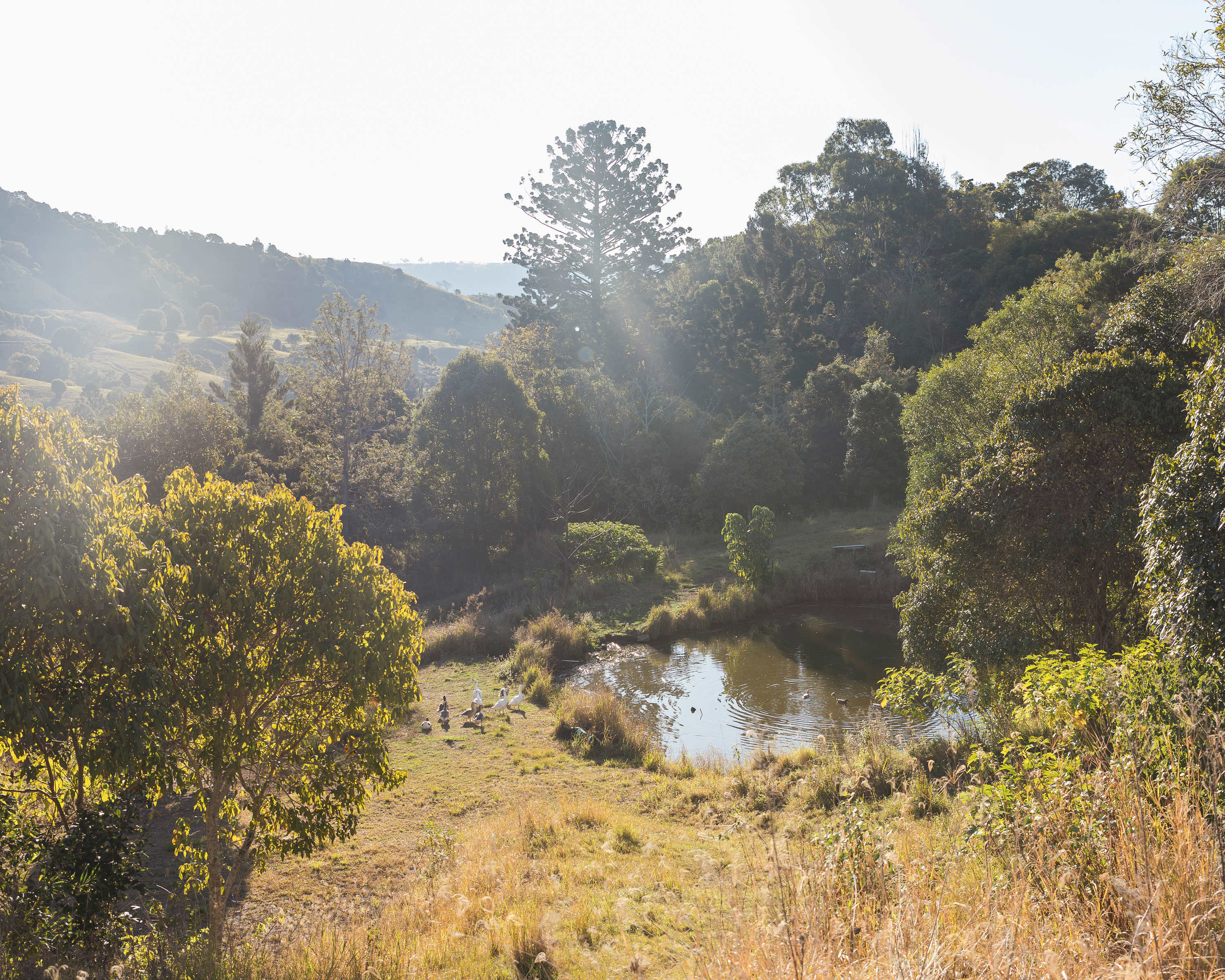 The Bush Clinic, Hinterland Retreat