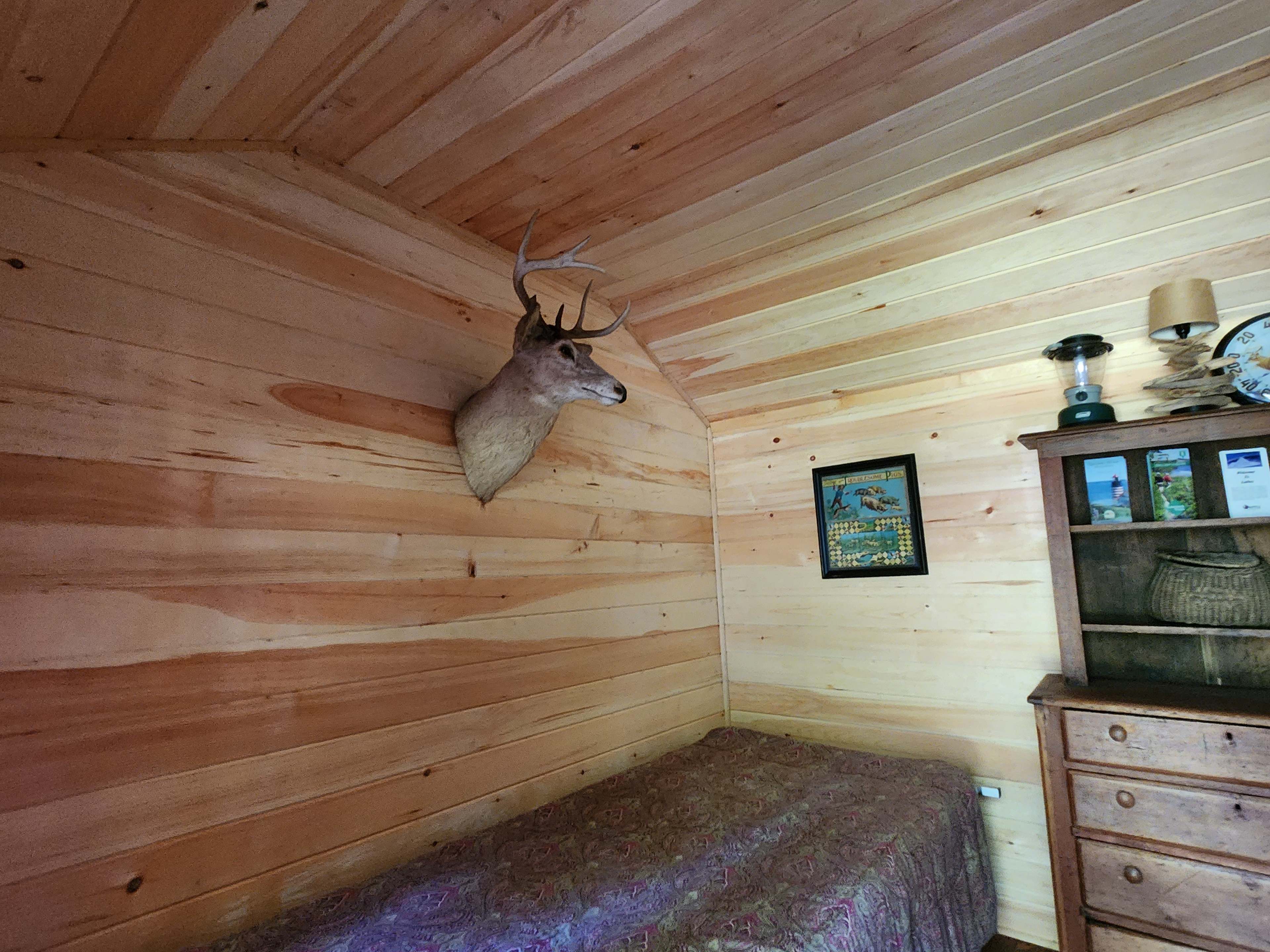 Twin Bucks Cabin 🦌🦌