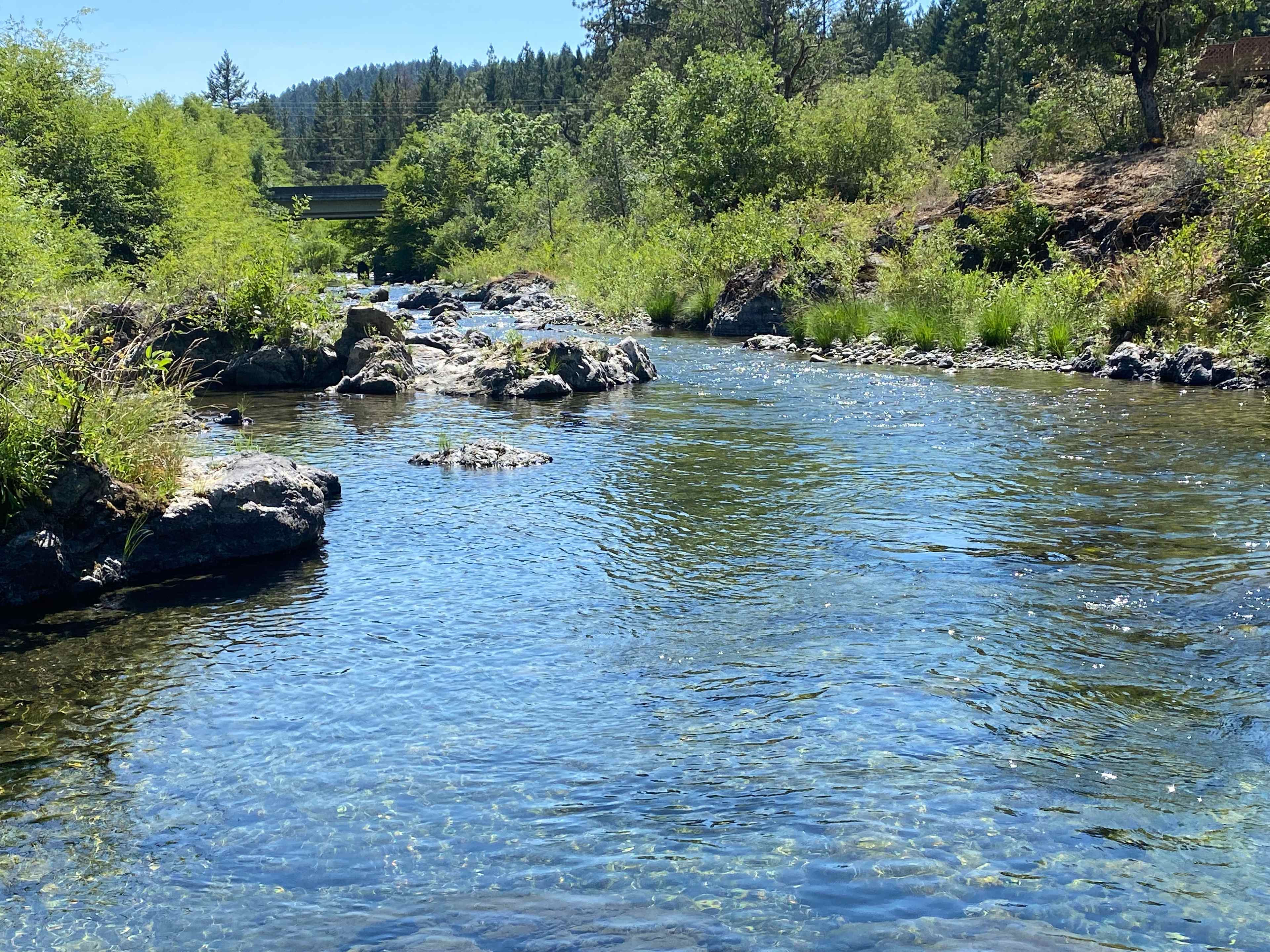 Bear's Illinois River Campsite