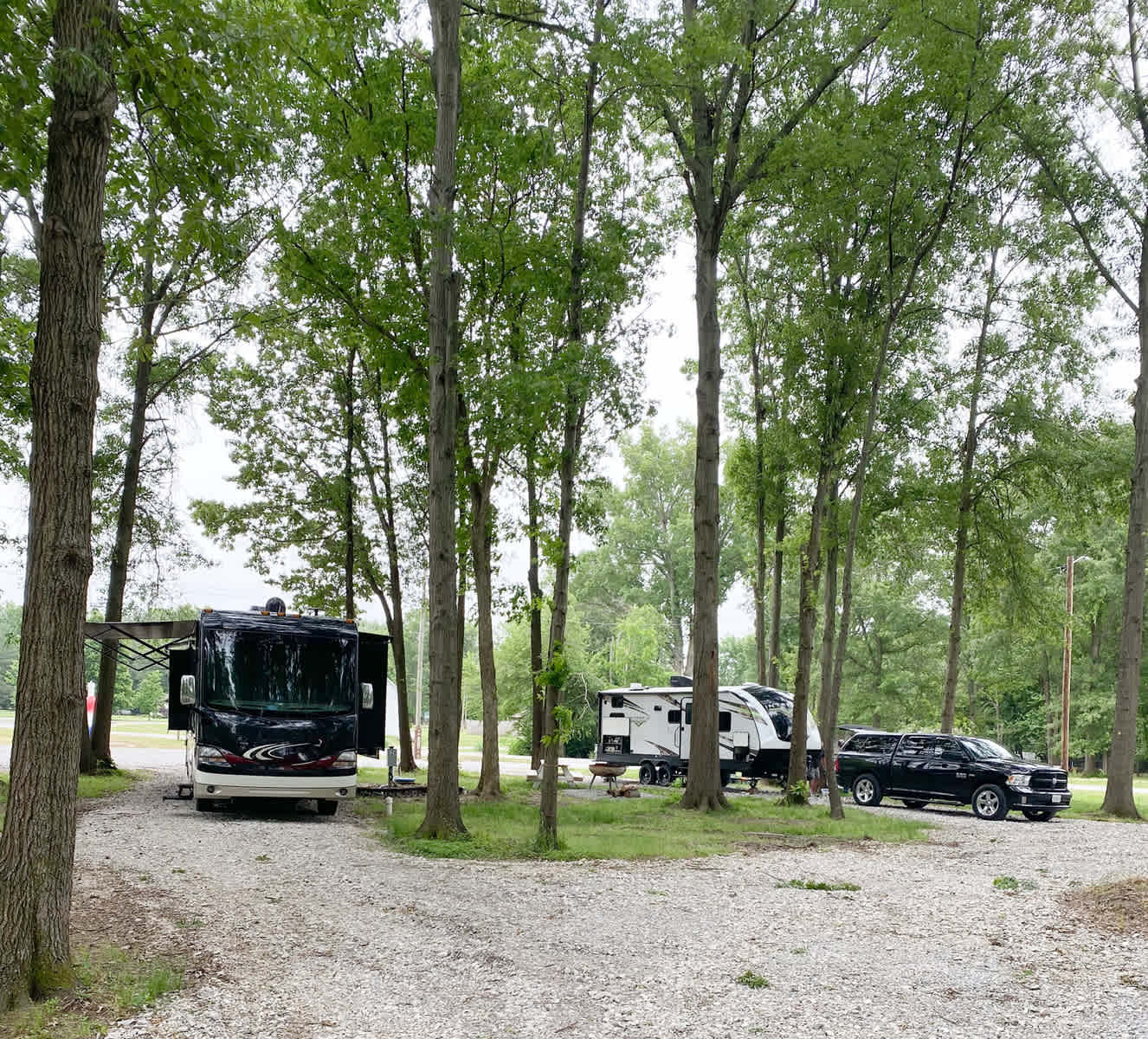 Picture of the site