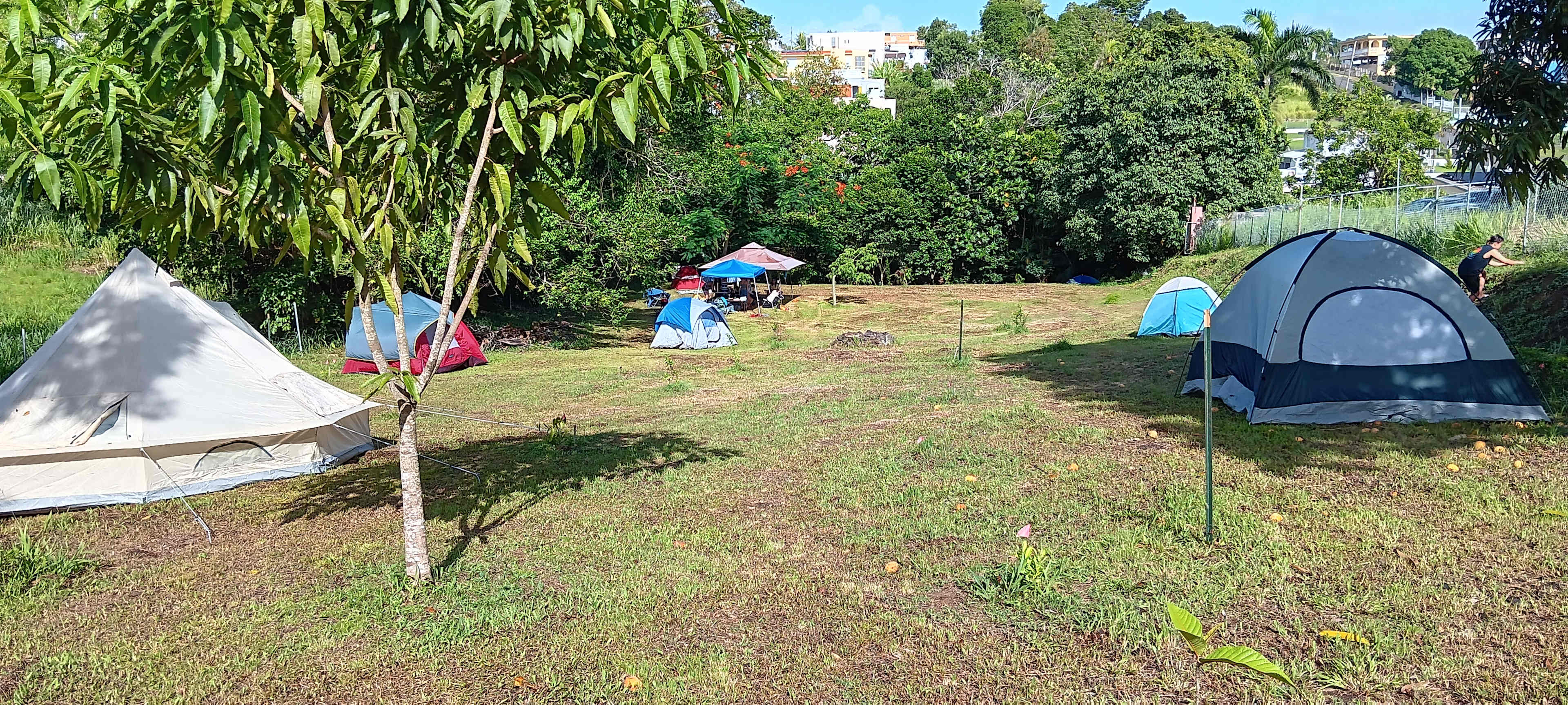 Camp Gongaga