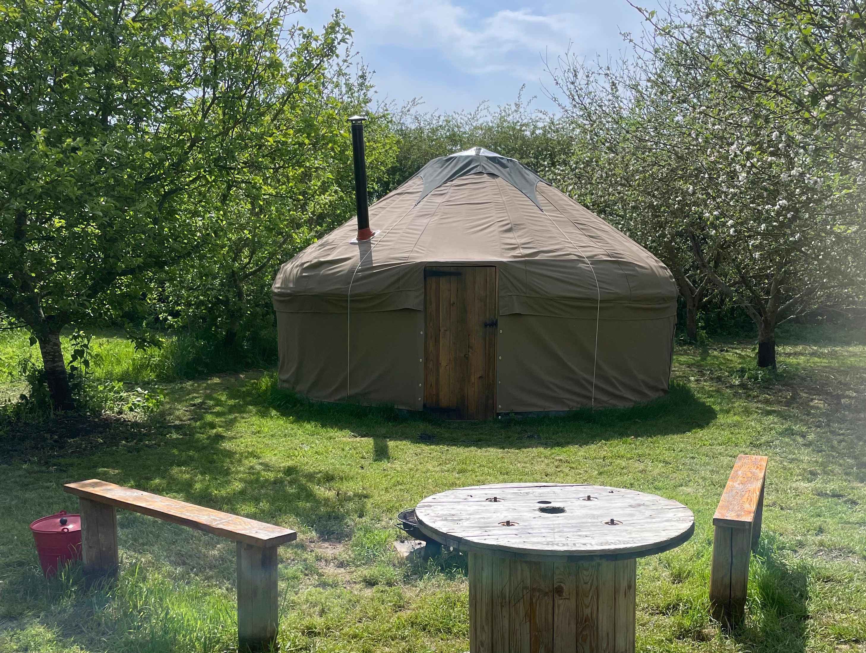 The Orchard at Fen End Farm