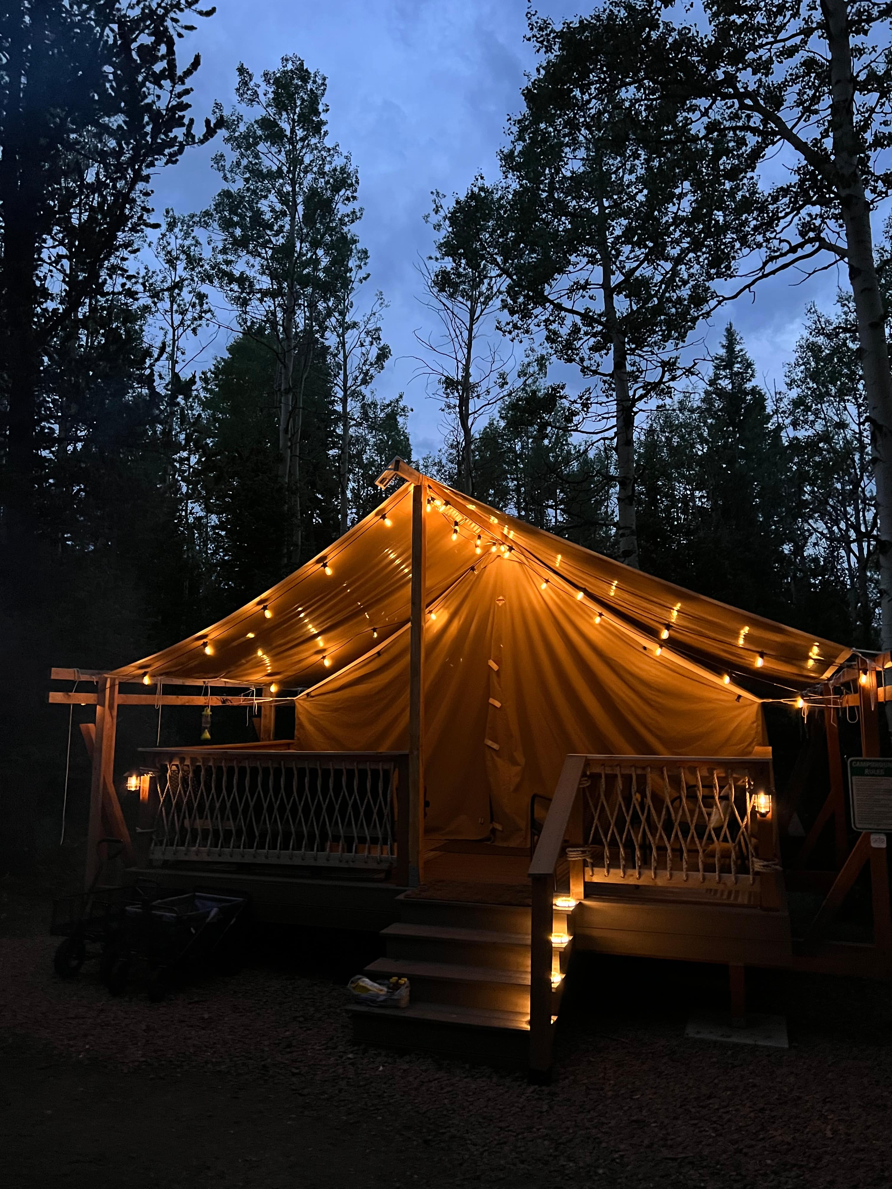 Quaking Aspens Campsite- For Kids!