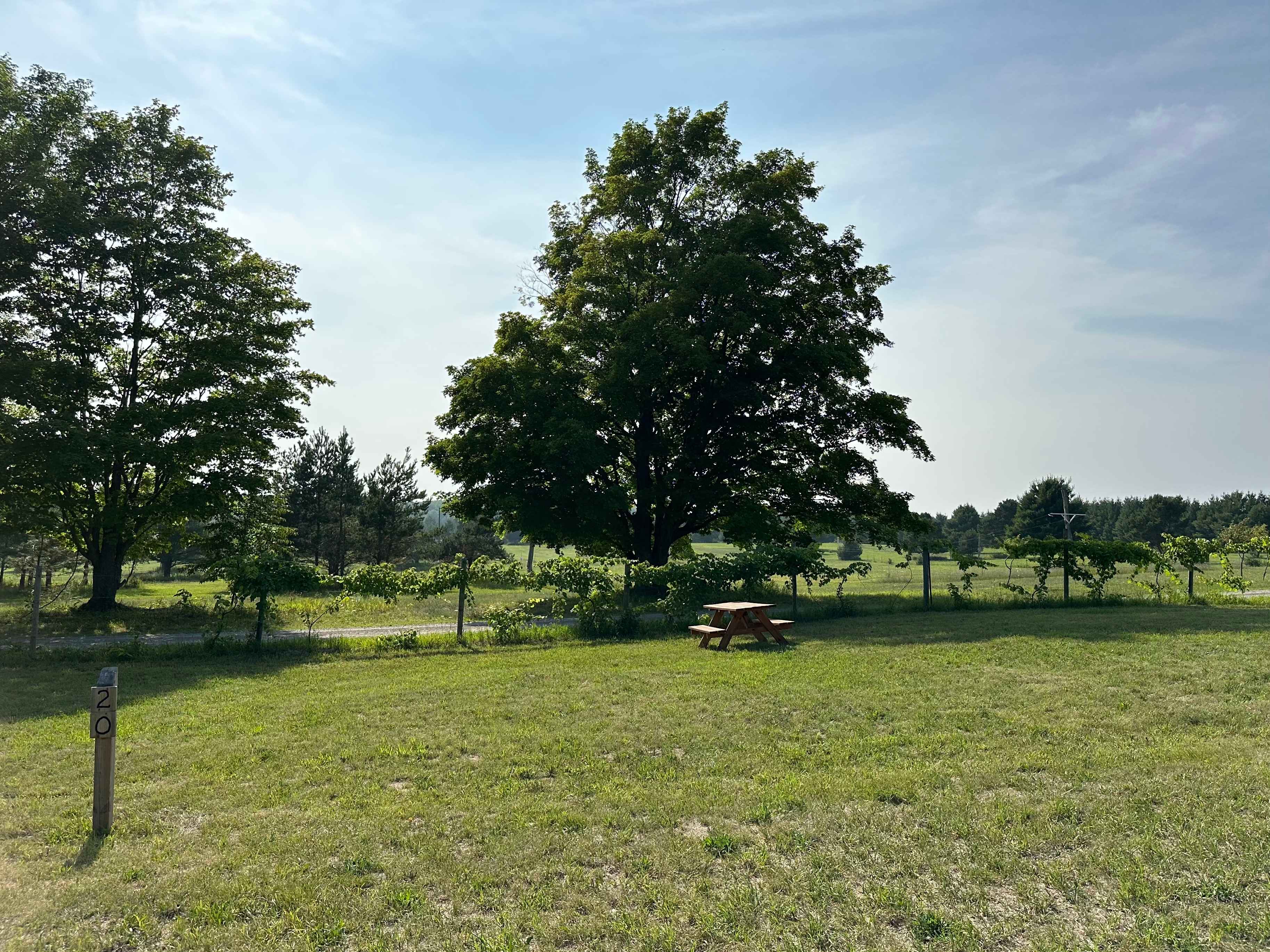 Blissfest Festival Farm