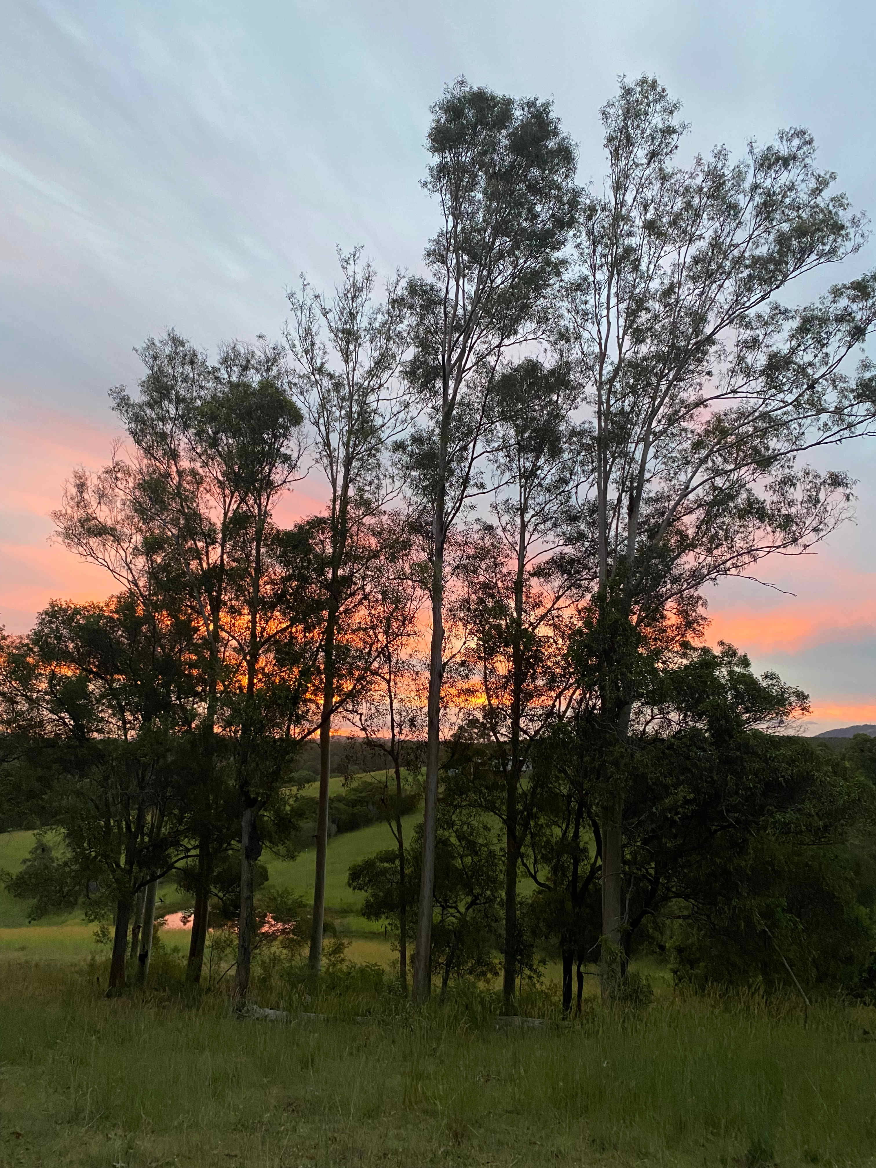 Summer sunset at Stargazers.