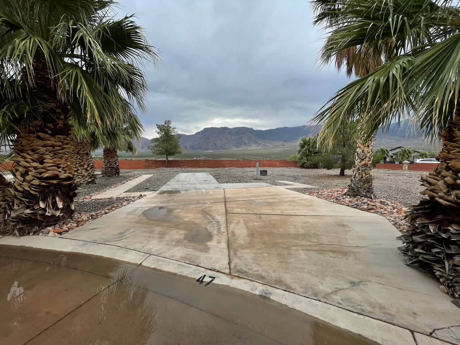 Anasazi Palms