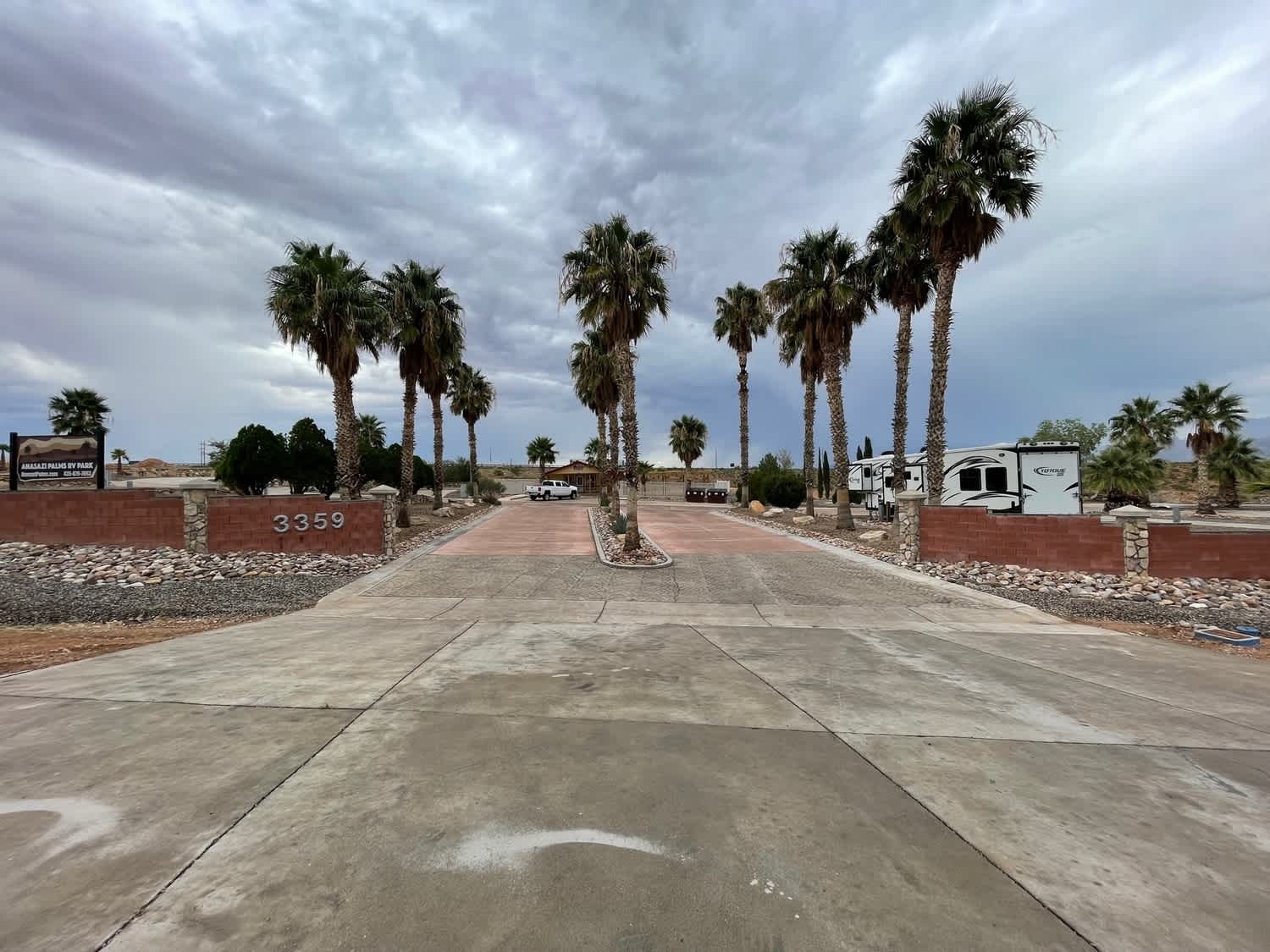 Anasazi Palms