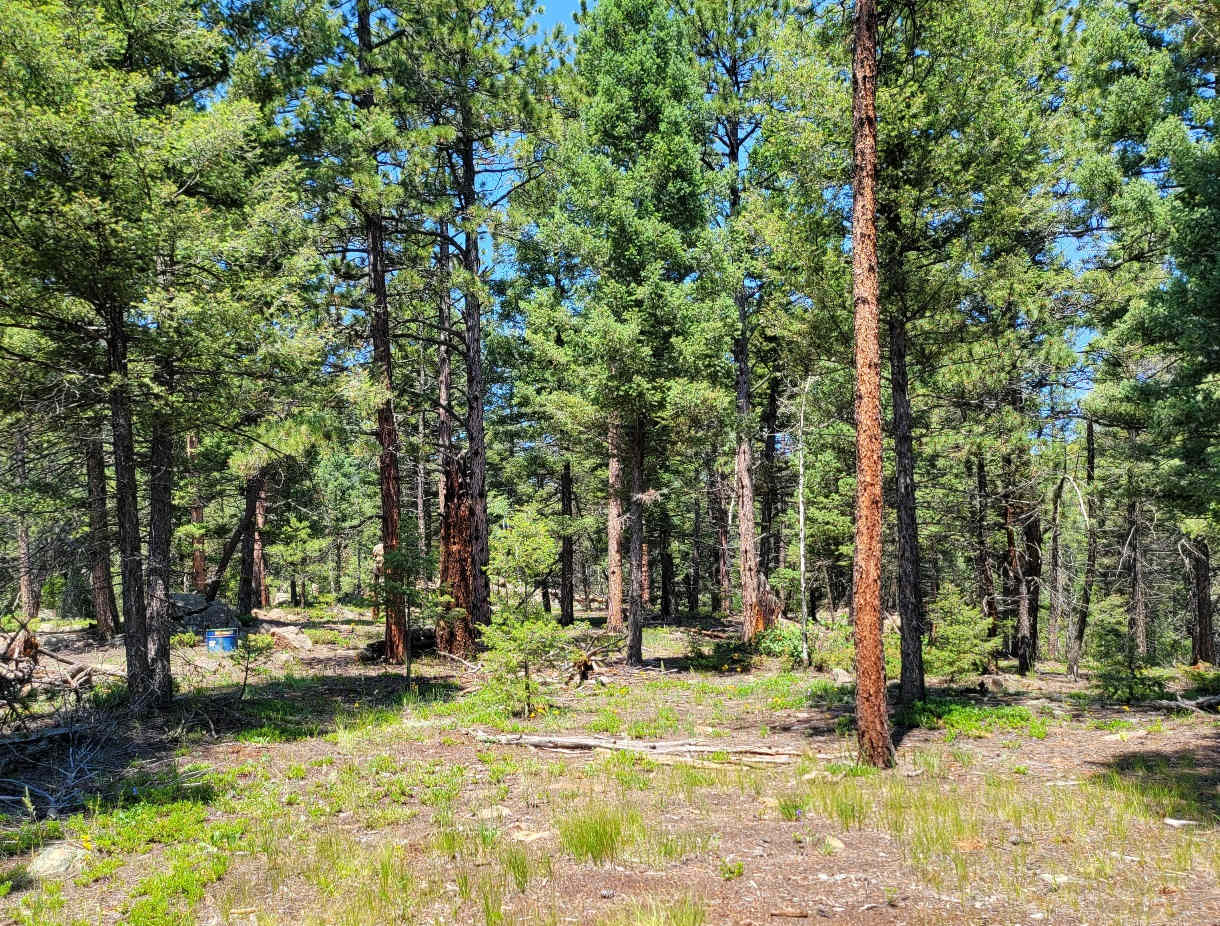 Just a short walk from your car.