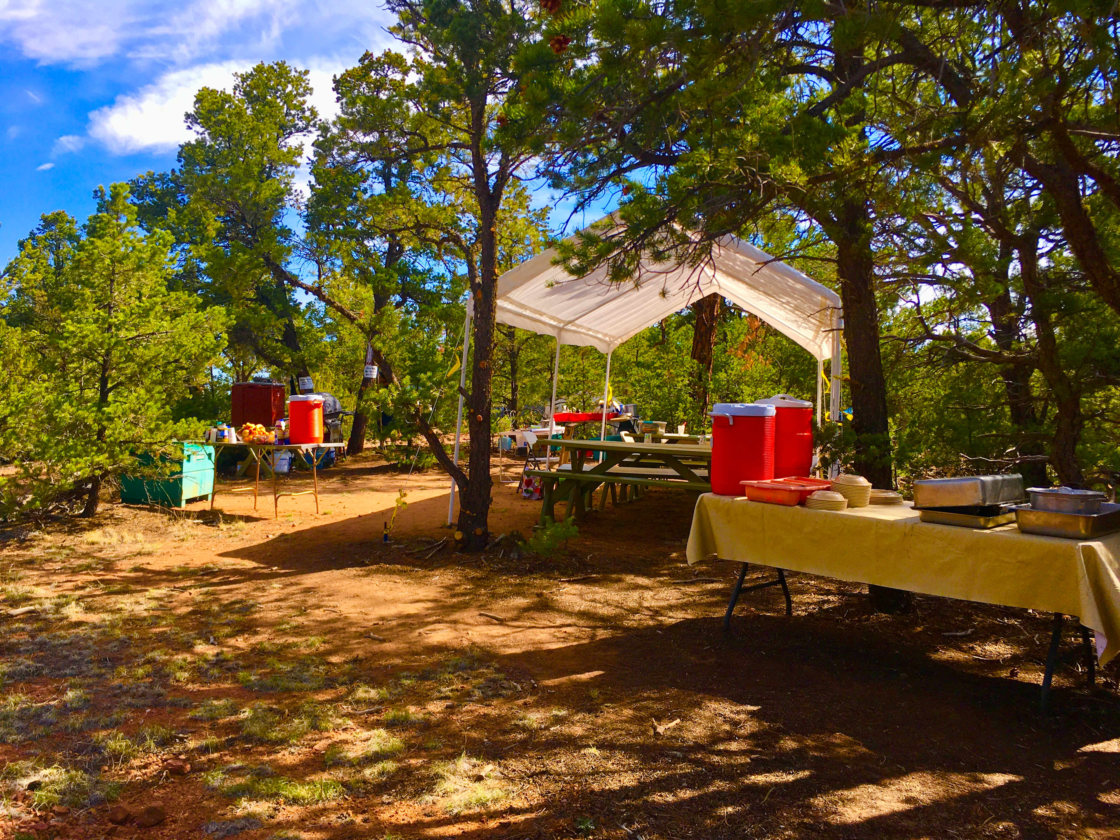 Shelter with 3 picnic tables and benches and metal food box. Additional tables added for larger groups. Bring your own food prep tables and chairs, cooking and eating utensils, water containers.