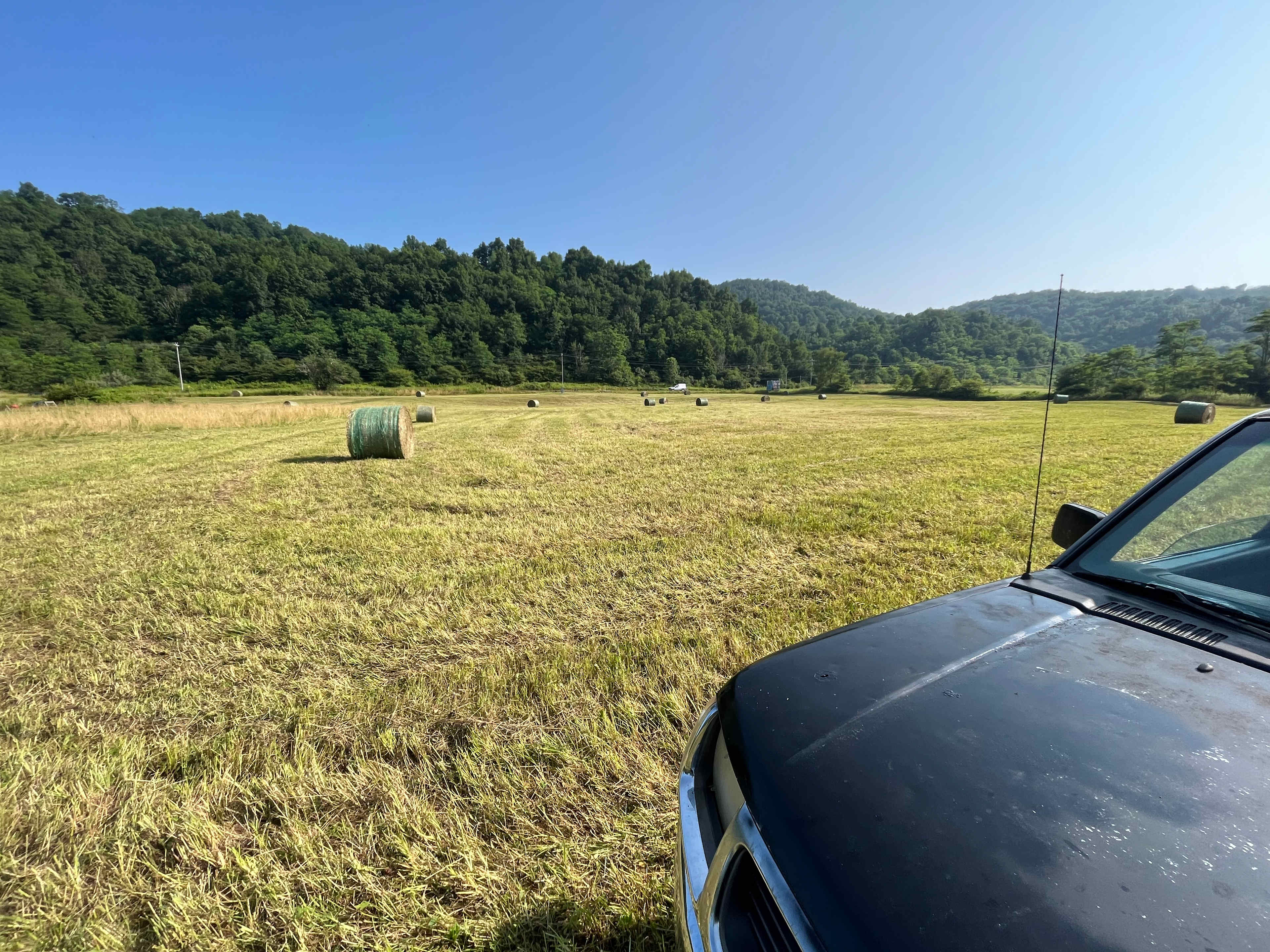 Picture of the site