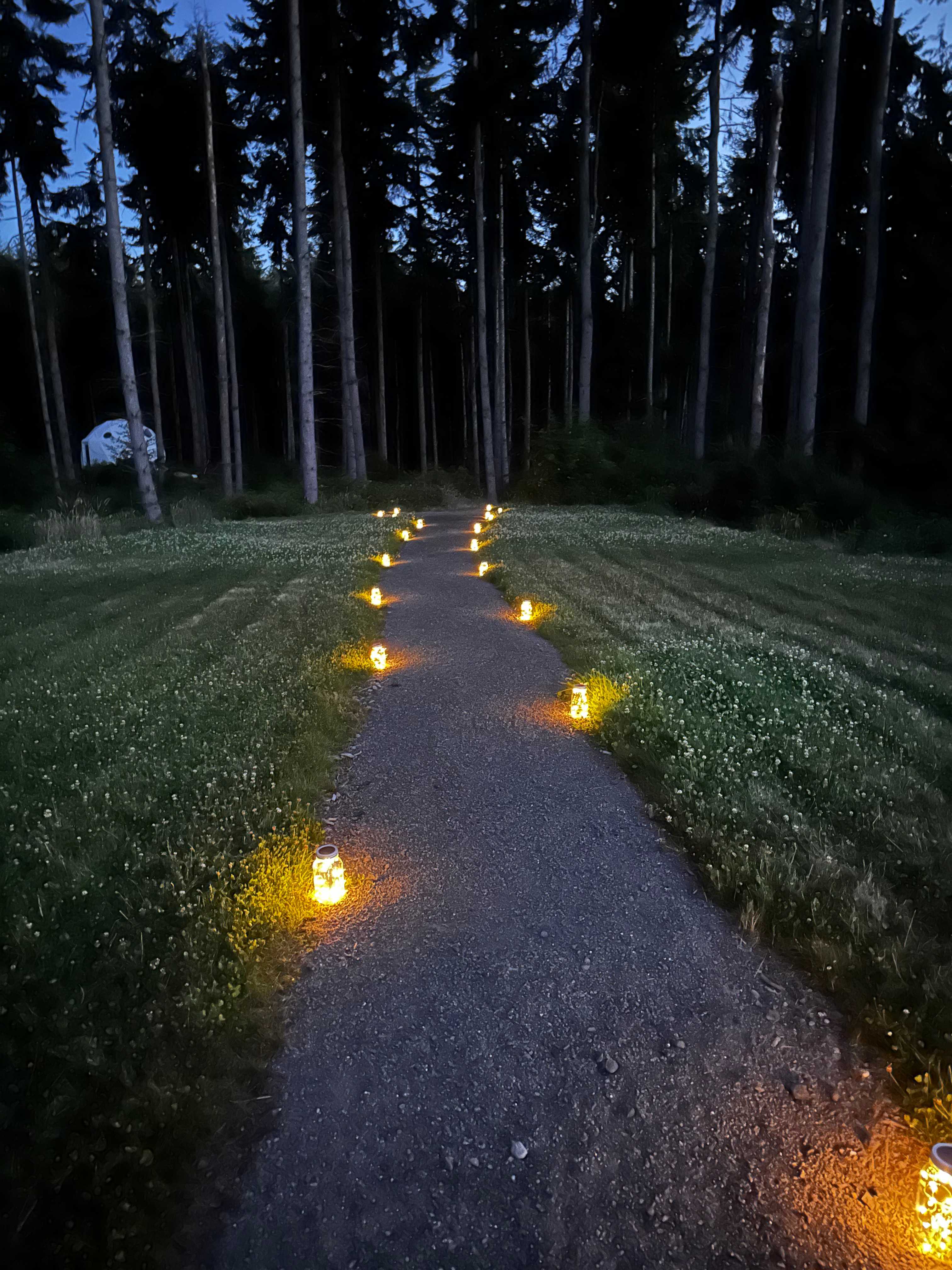 Night Owl Landing