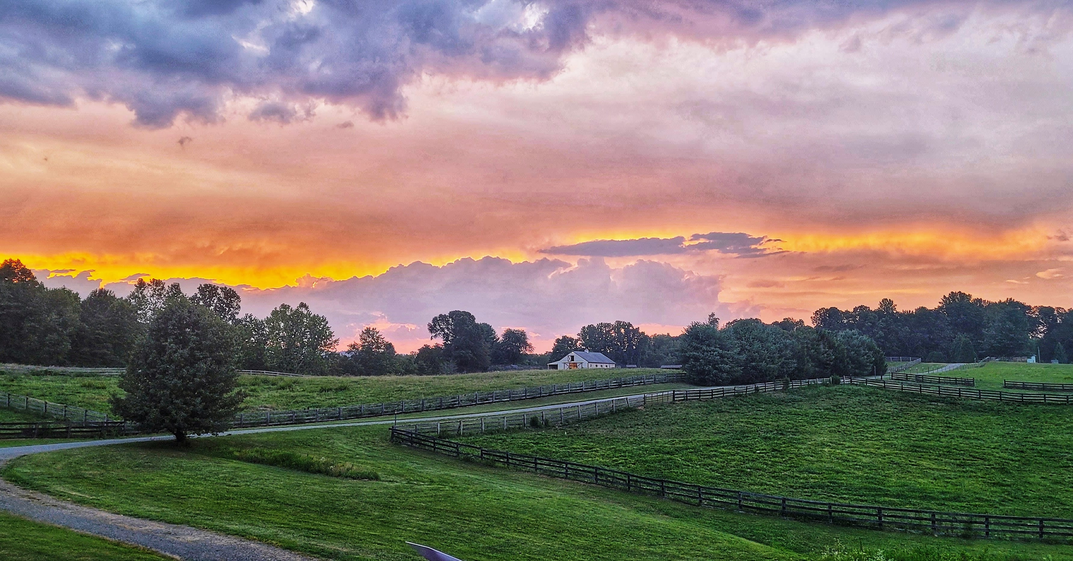 Narrow Gate Farm