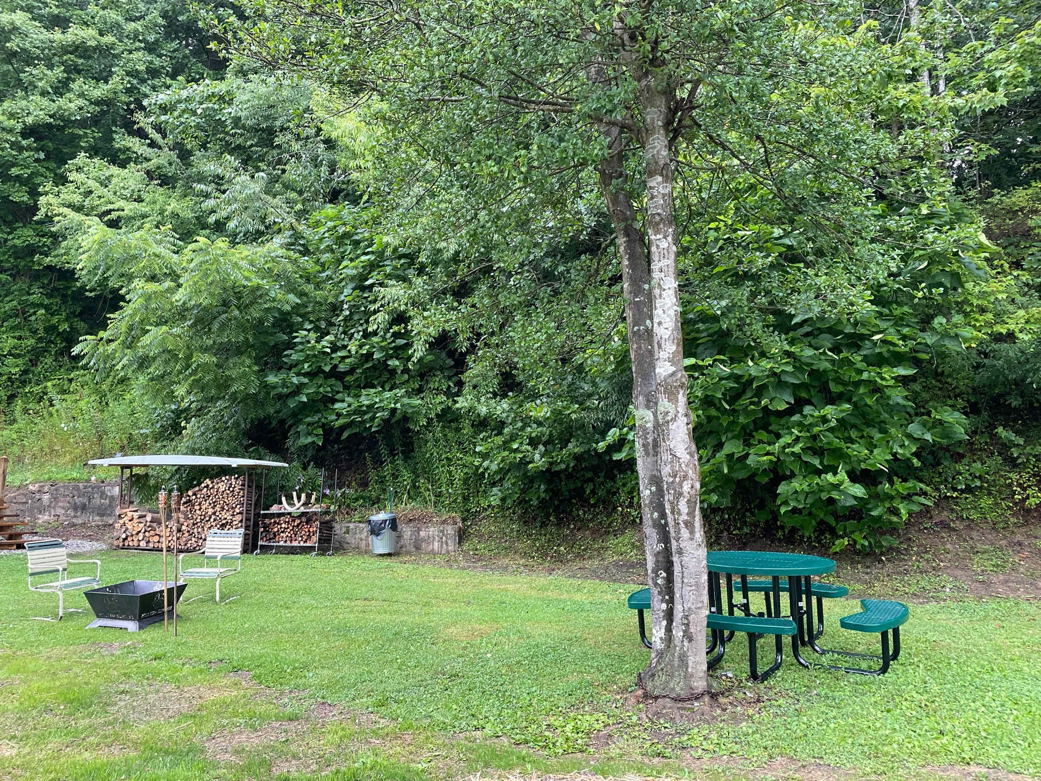 Comfortable grassy courtyard with picnic table and fire pit
