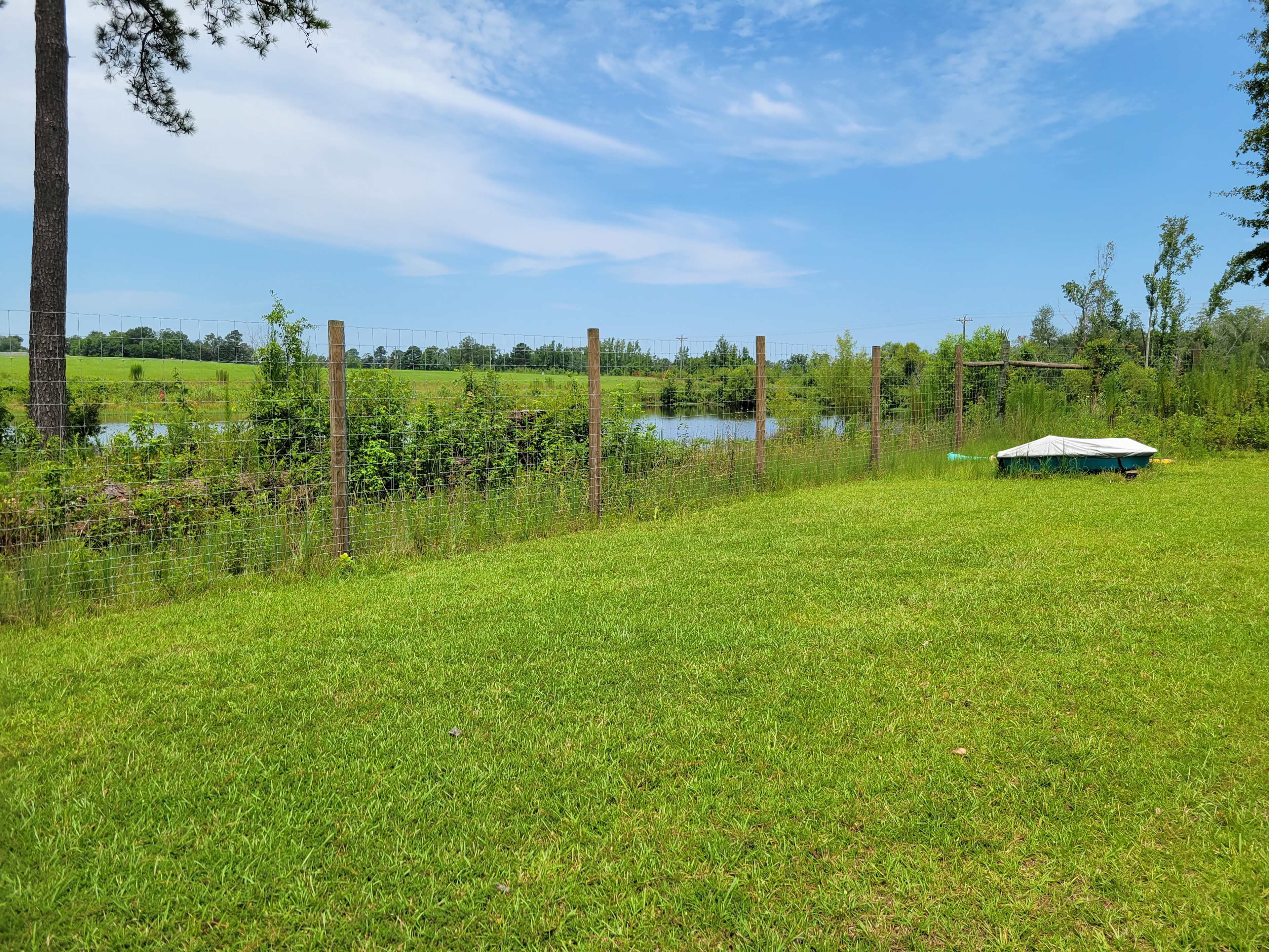 Sweet Blossom Alpaca Farm - Relax