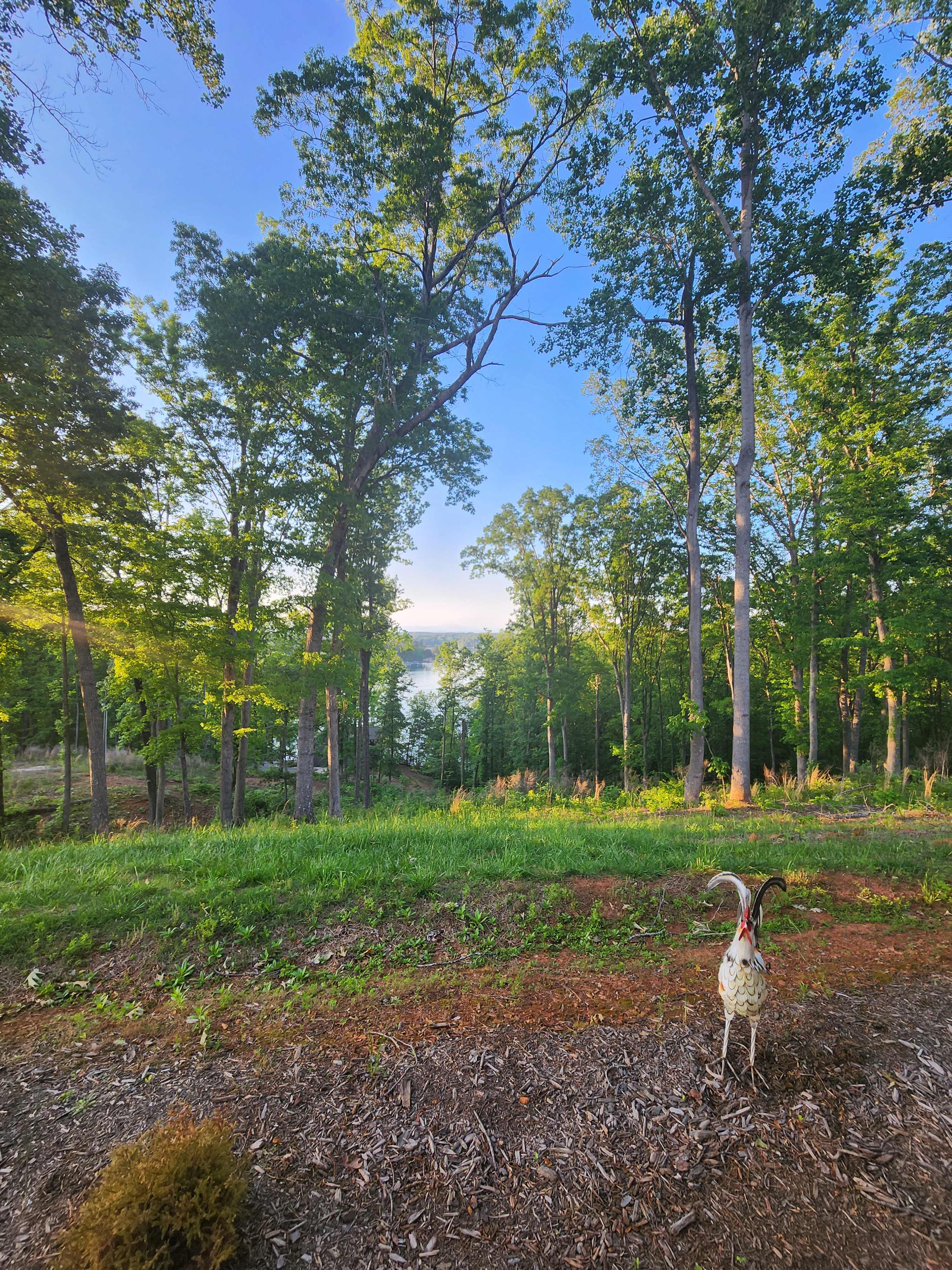 Keowee Lake - Campsite for RVs
