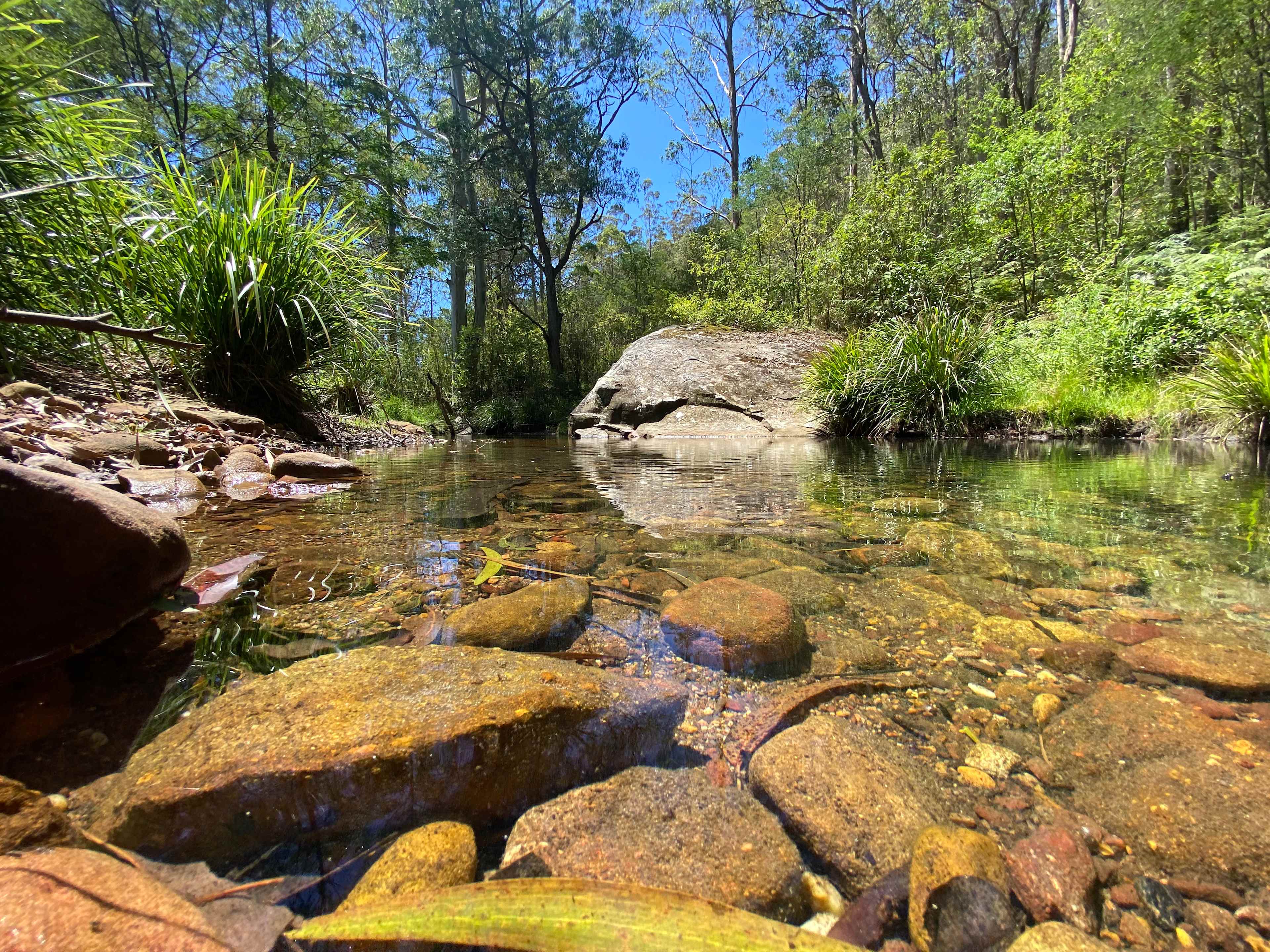 Congewai Valley Estate