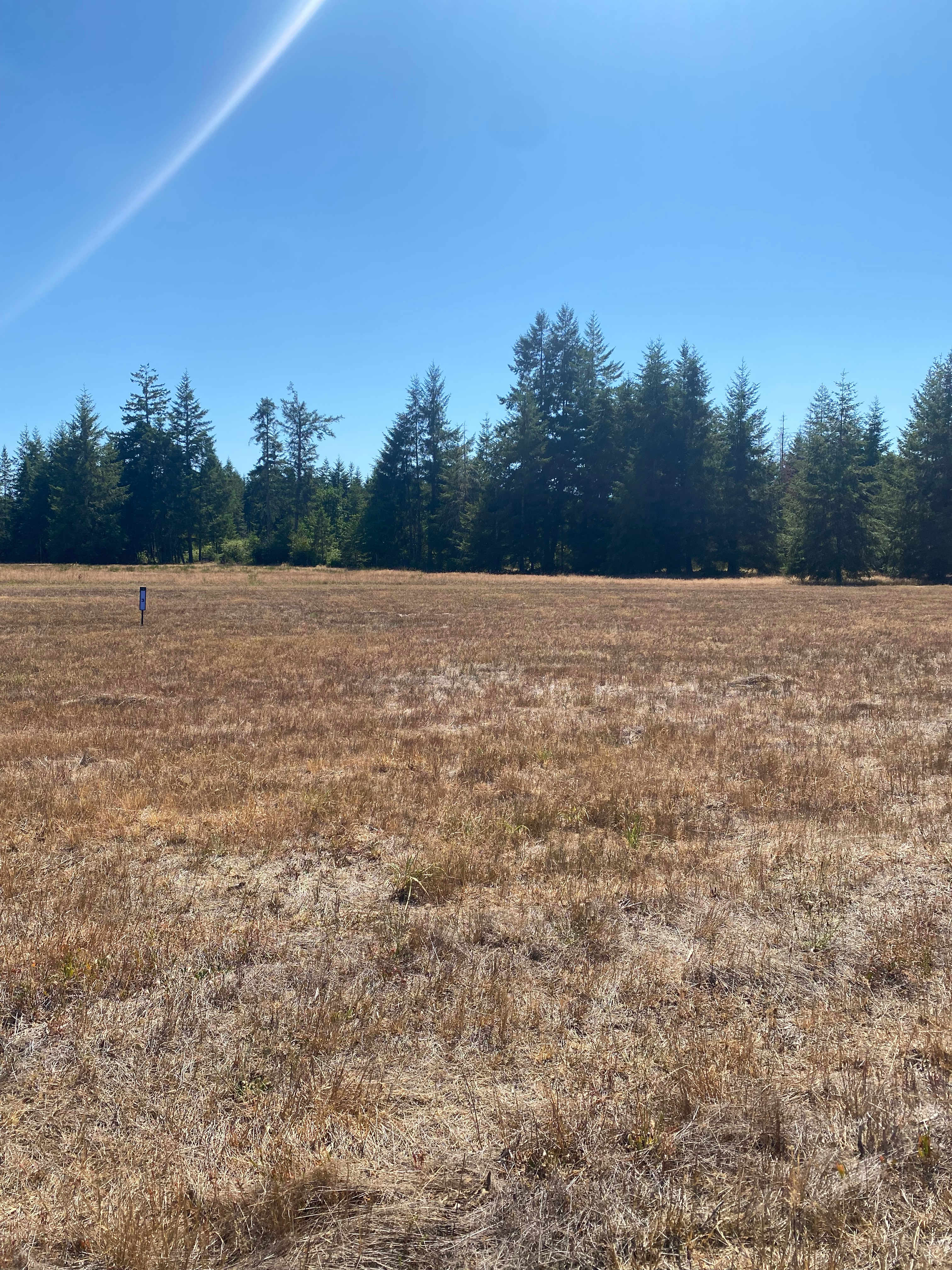 Site 2