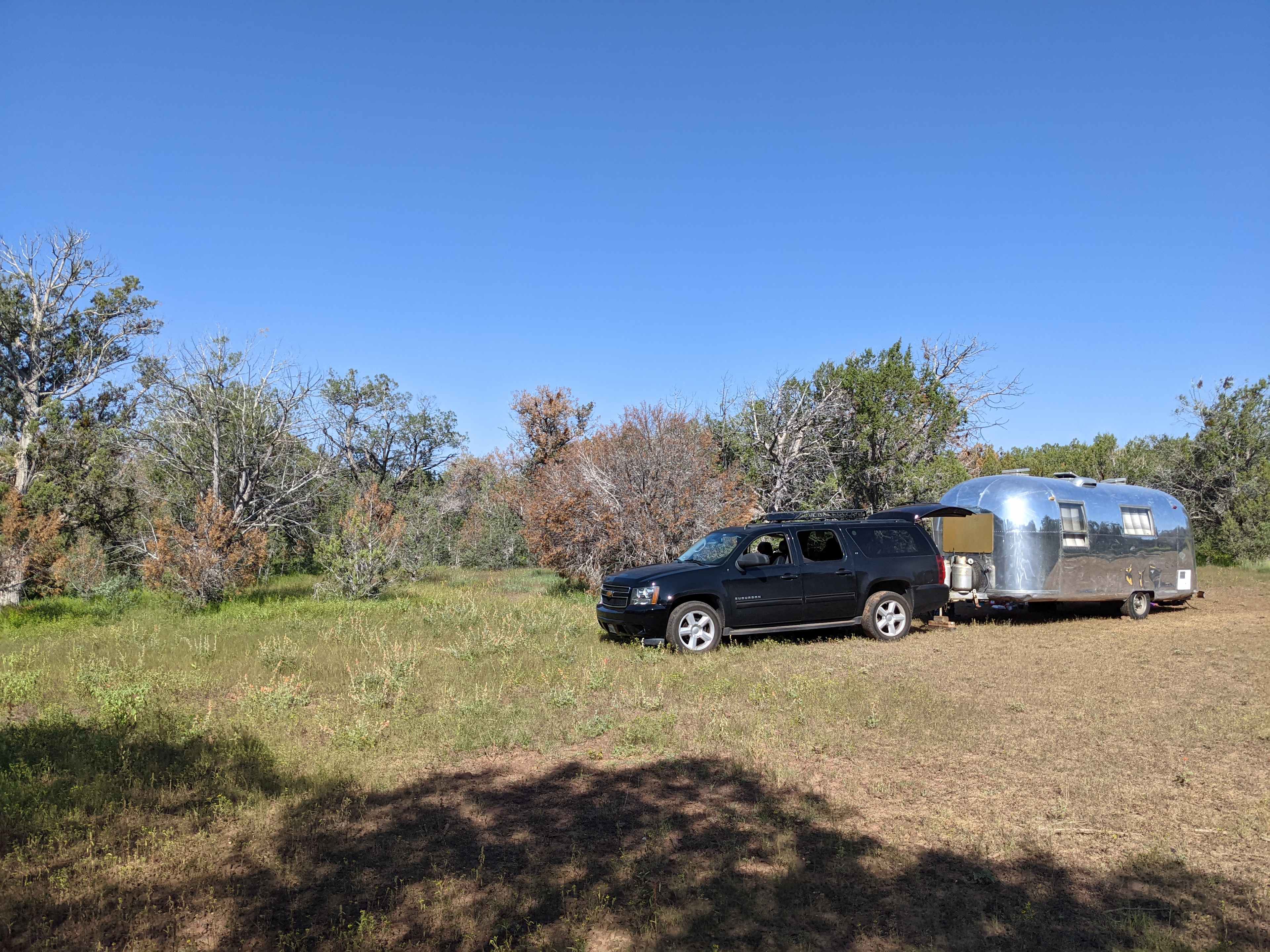 Bournholm - Now with Starlink!