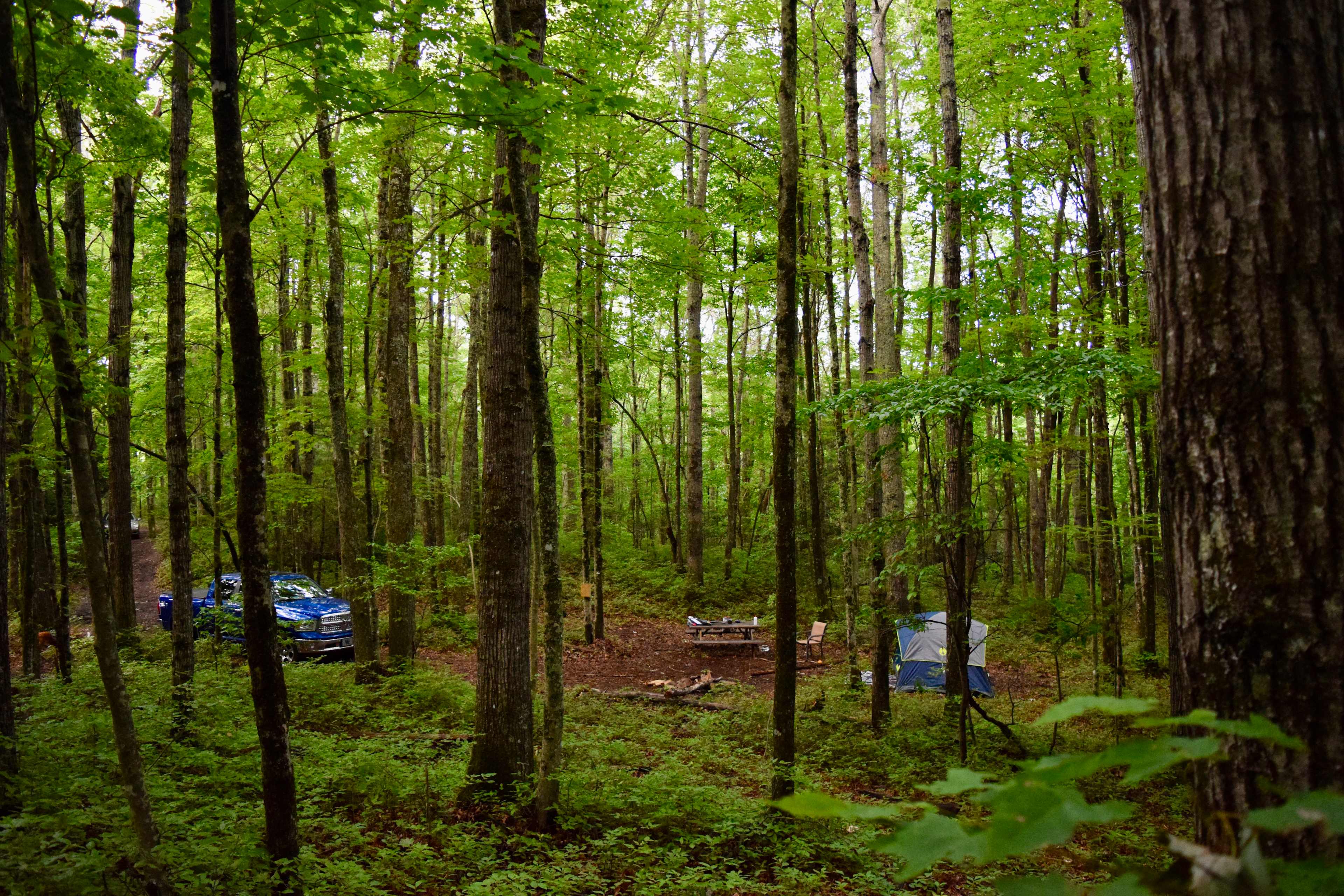 Indian Creek Rental's Mountain Camp