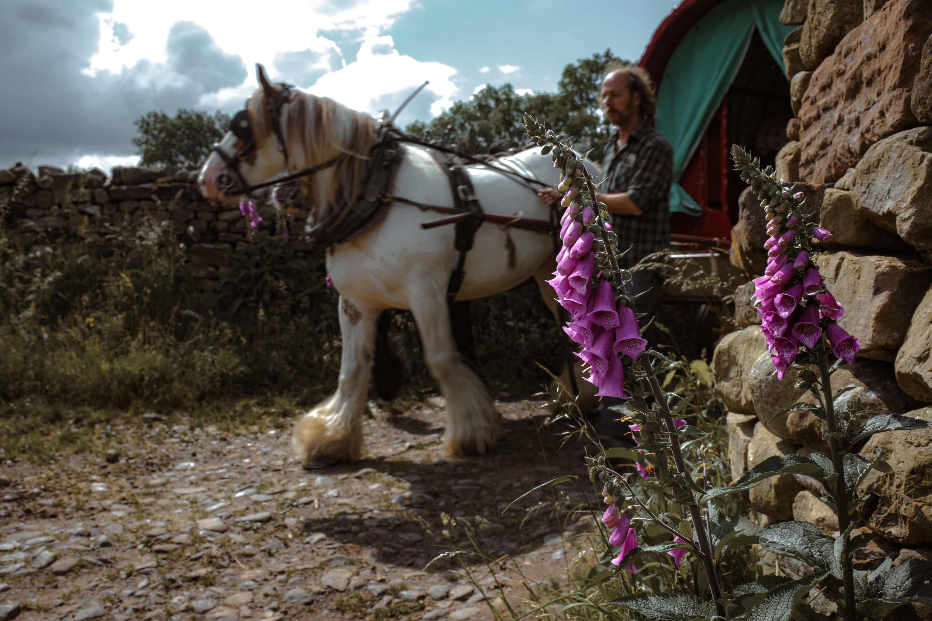 Wanderlusts Gypsy Caravans