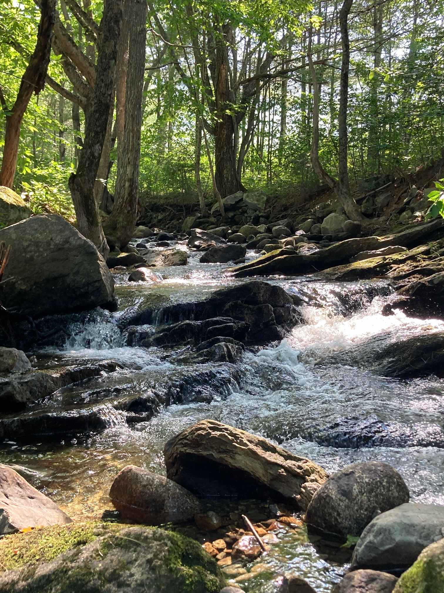 Camp Ebb and Flow