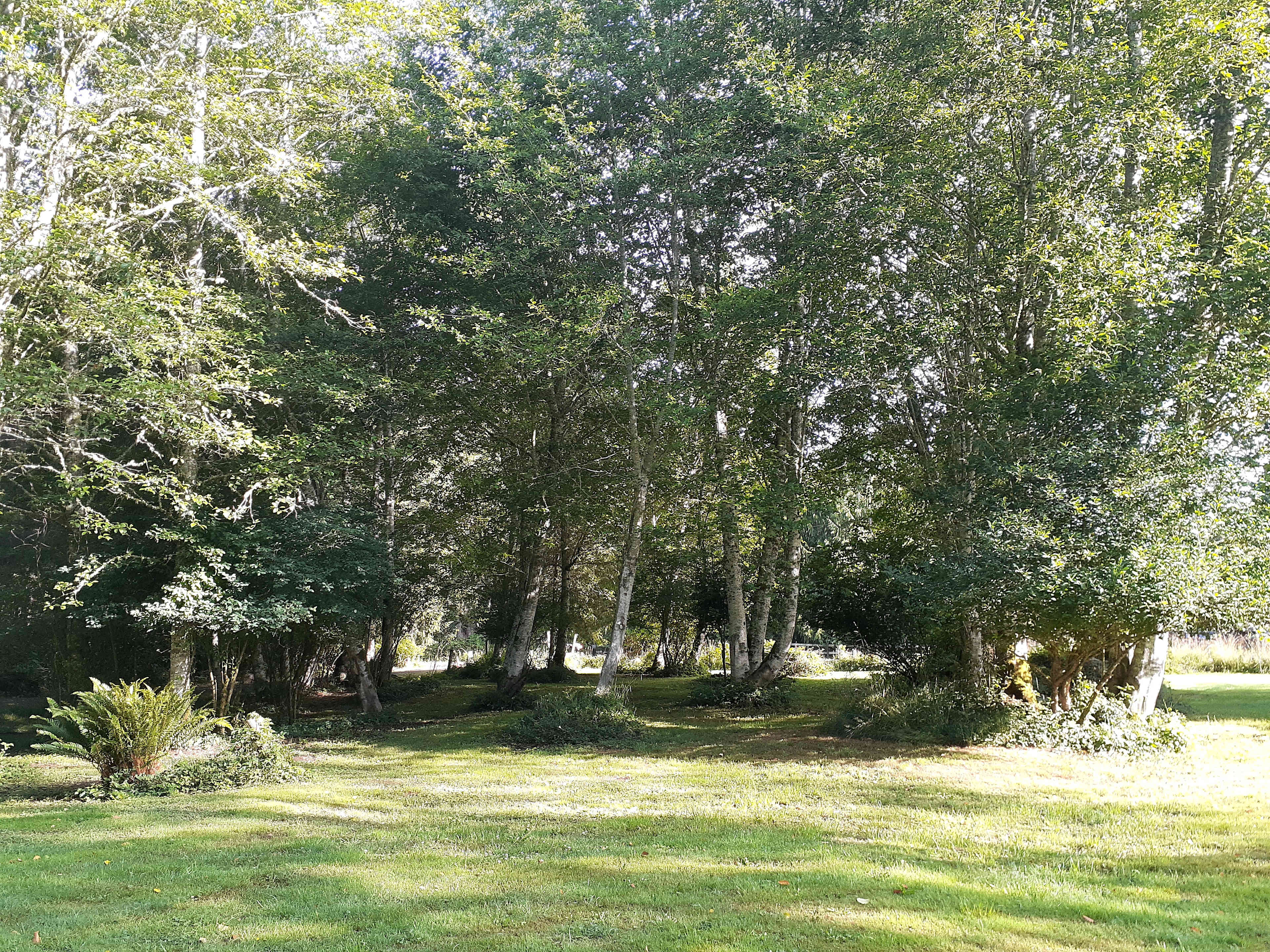 Mile Post 47