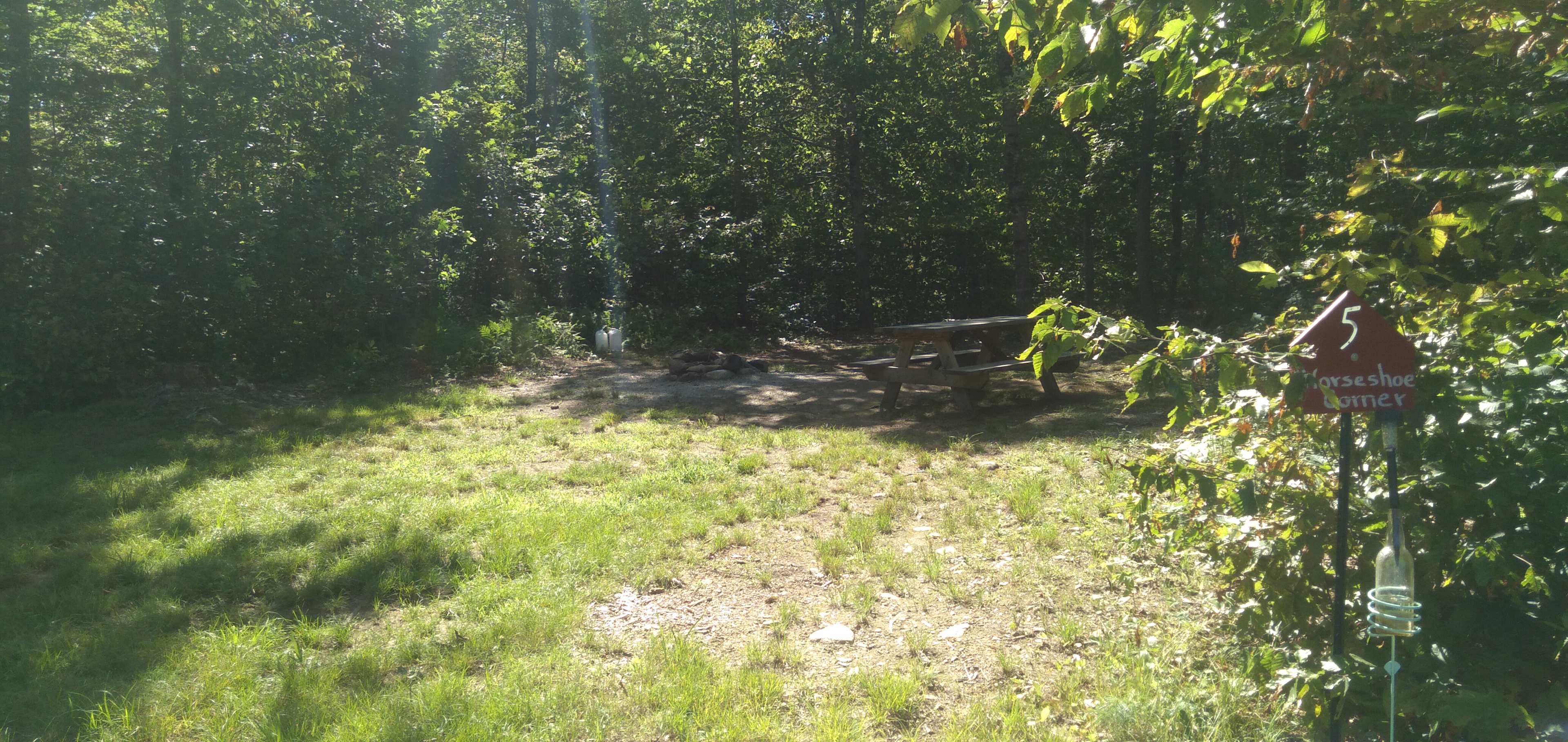 Someday Farm and Forest