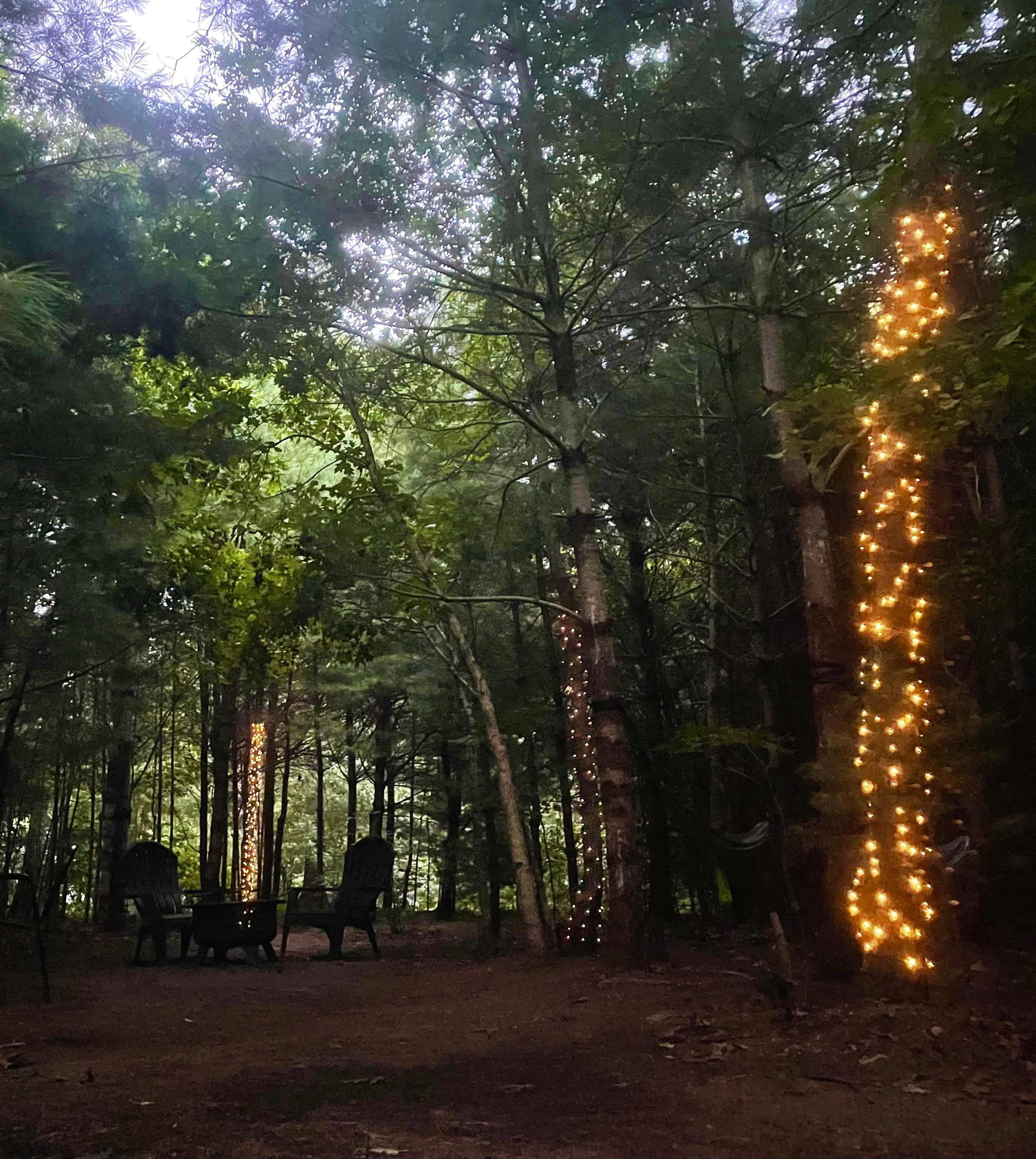 Cozy Wooded Nook