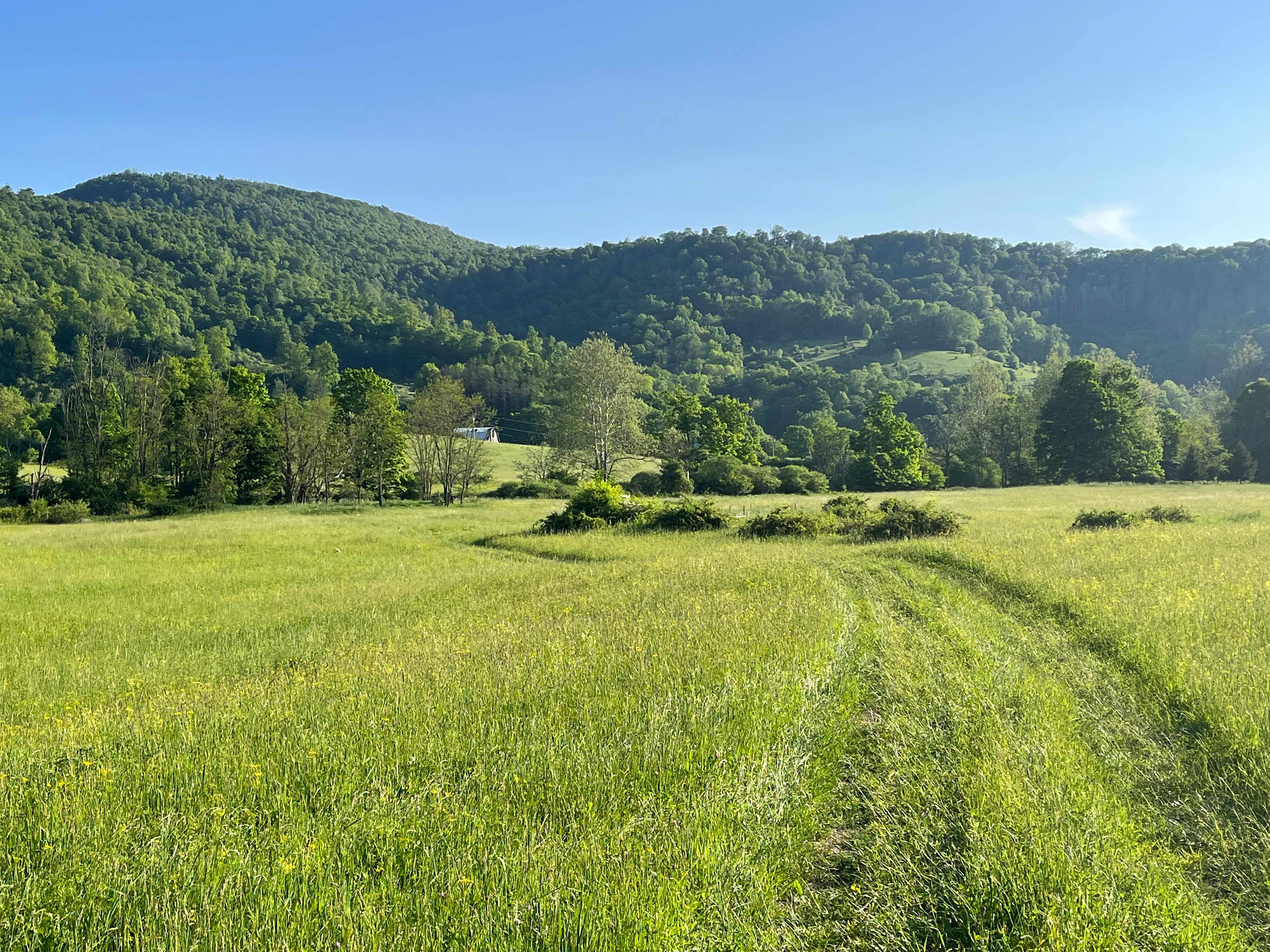 Snowshoe Valley Farms & Camping