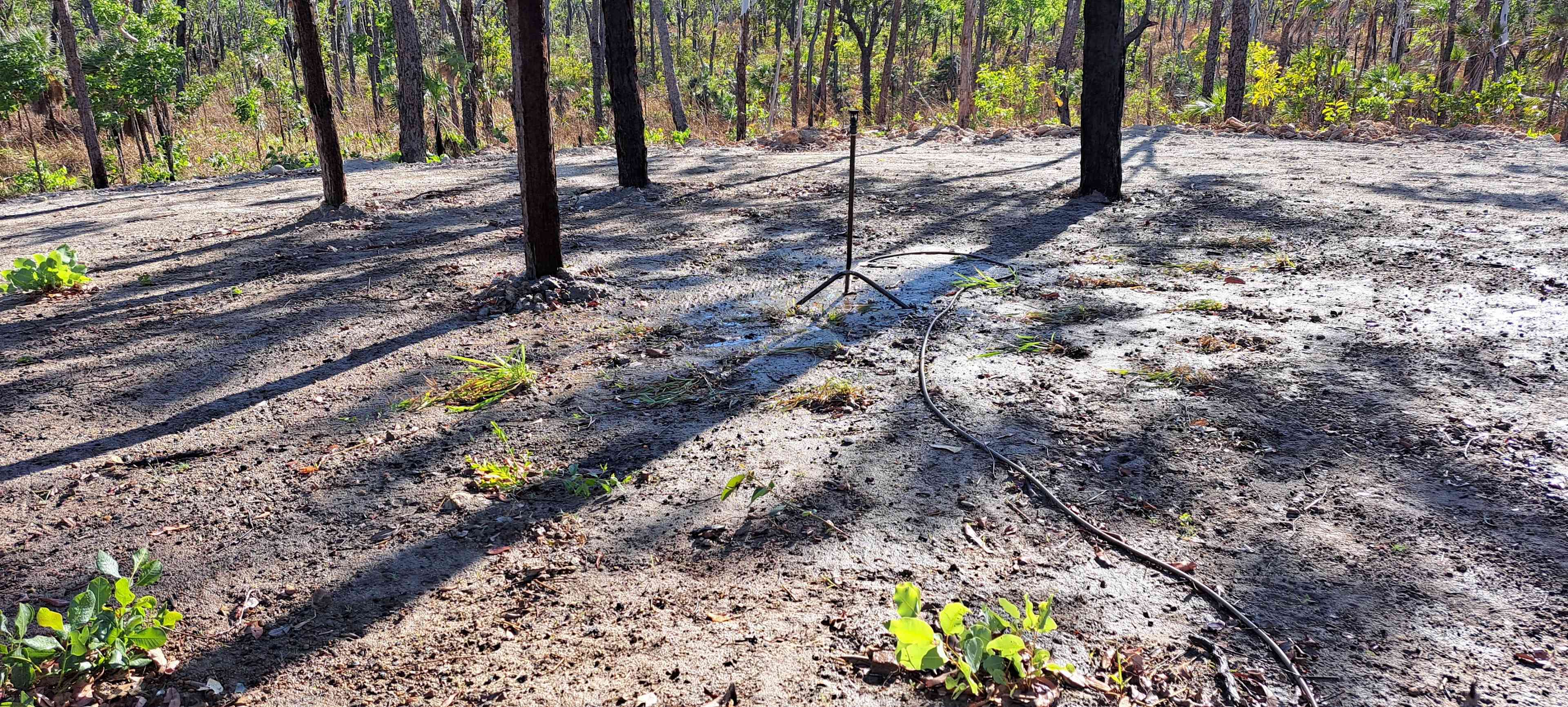 Samson Creek secluded bush camping