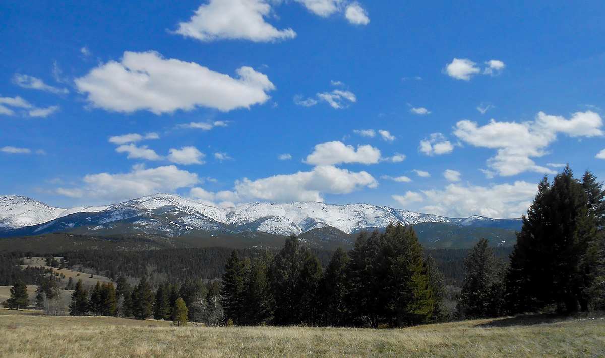 Warm Springs Wildlife Management Area