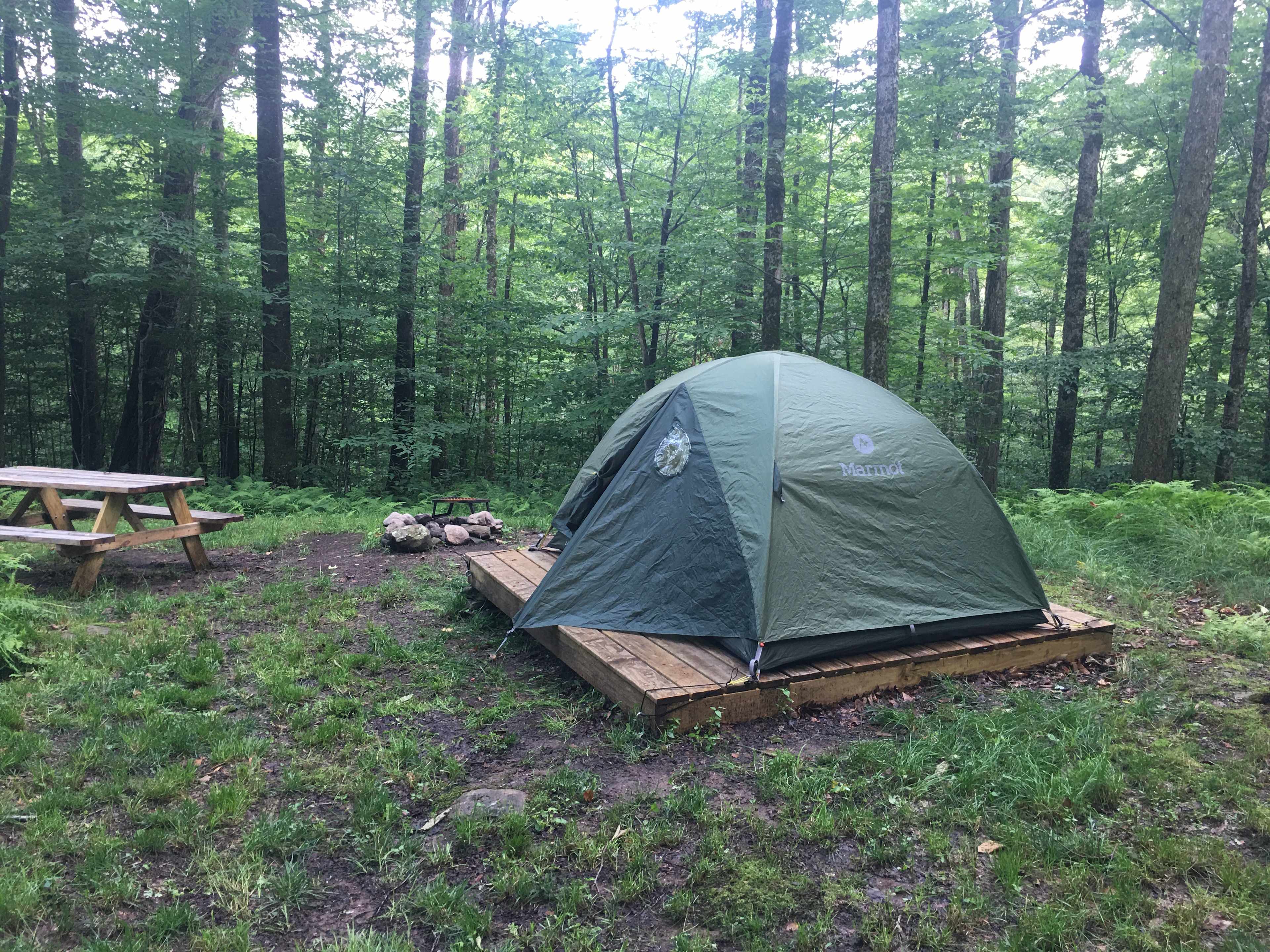 Burr Oaks Forest secluded campsites