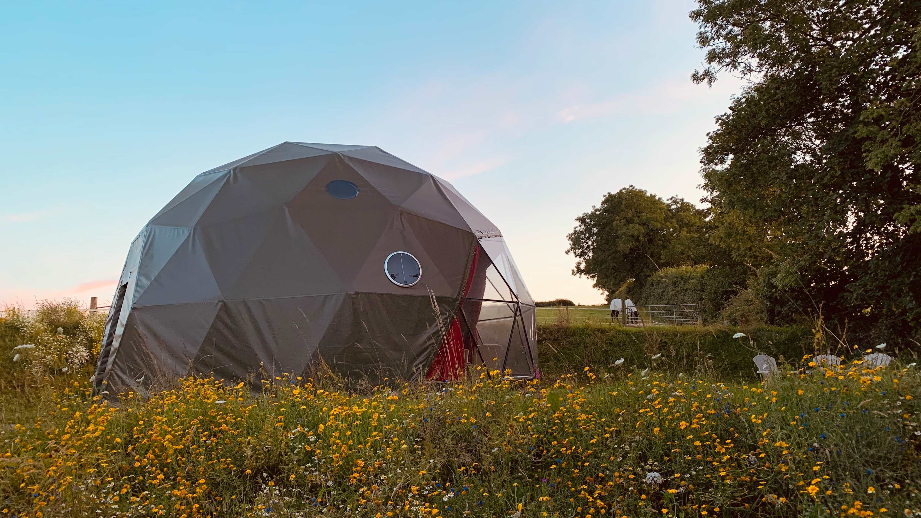 The Geo Dome