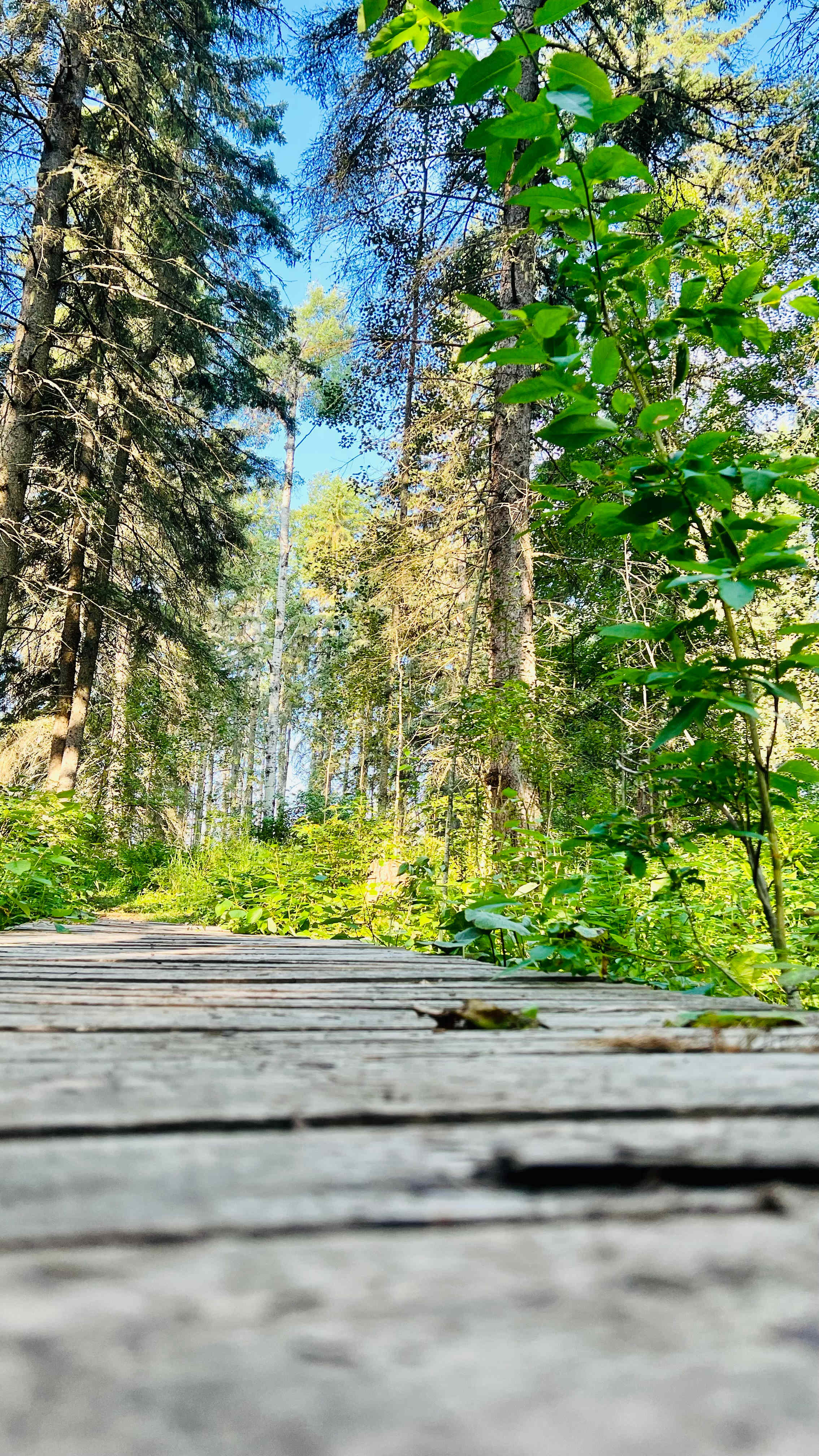 Nature walks on the property 