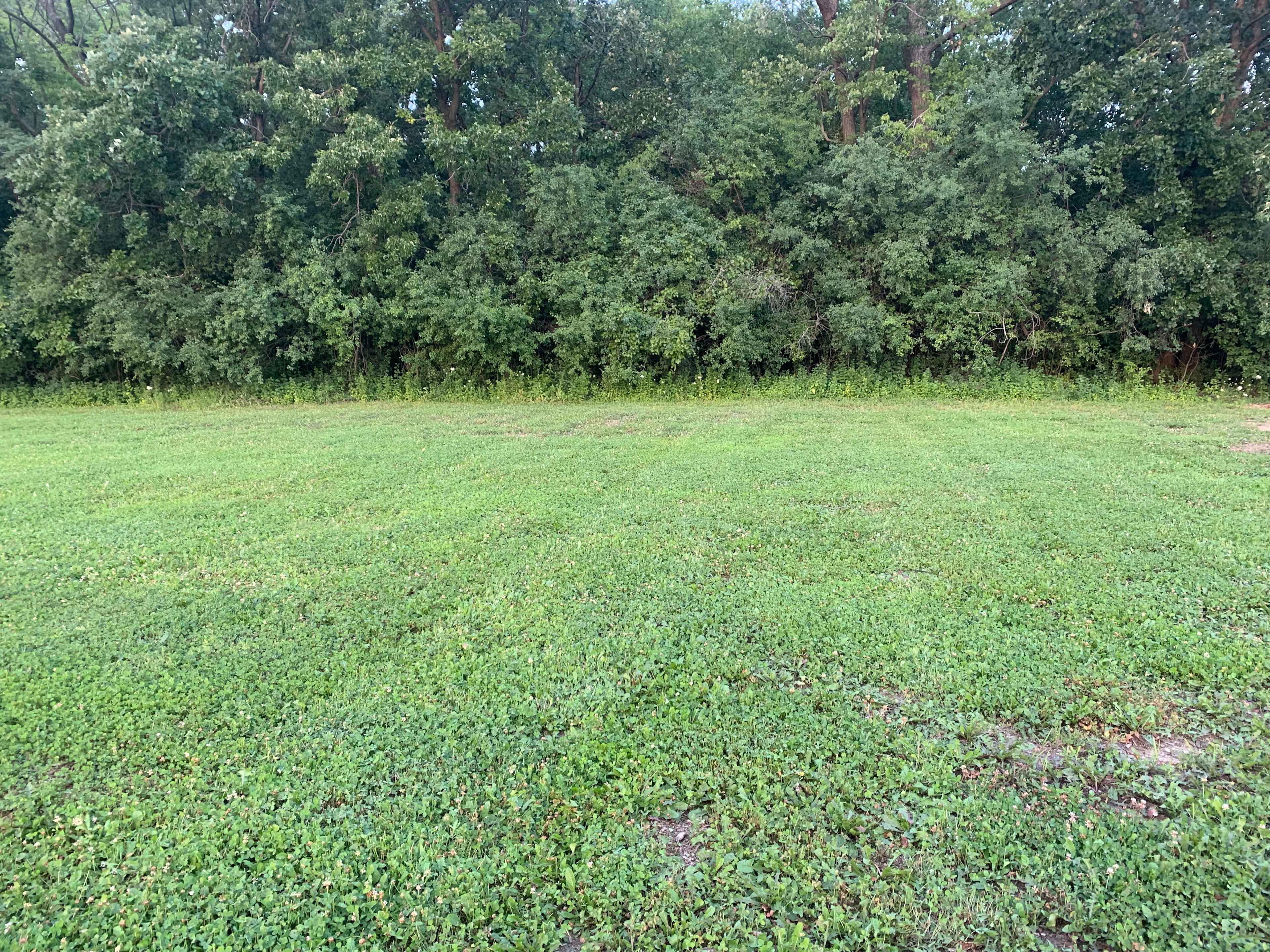 Grassy sites