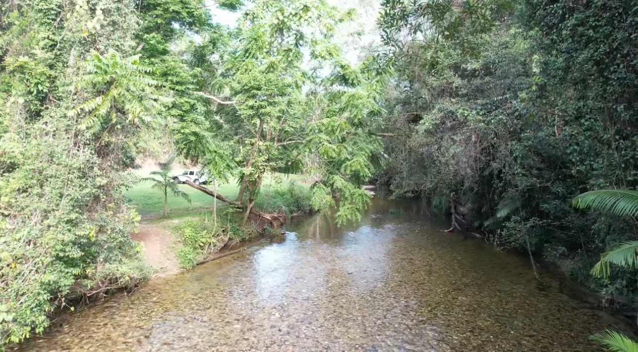 Camp beside the creek and enjoy the rainforest and no crocodiles !!