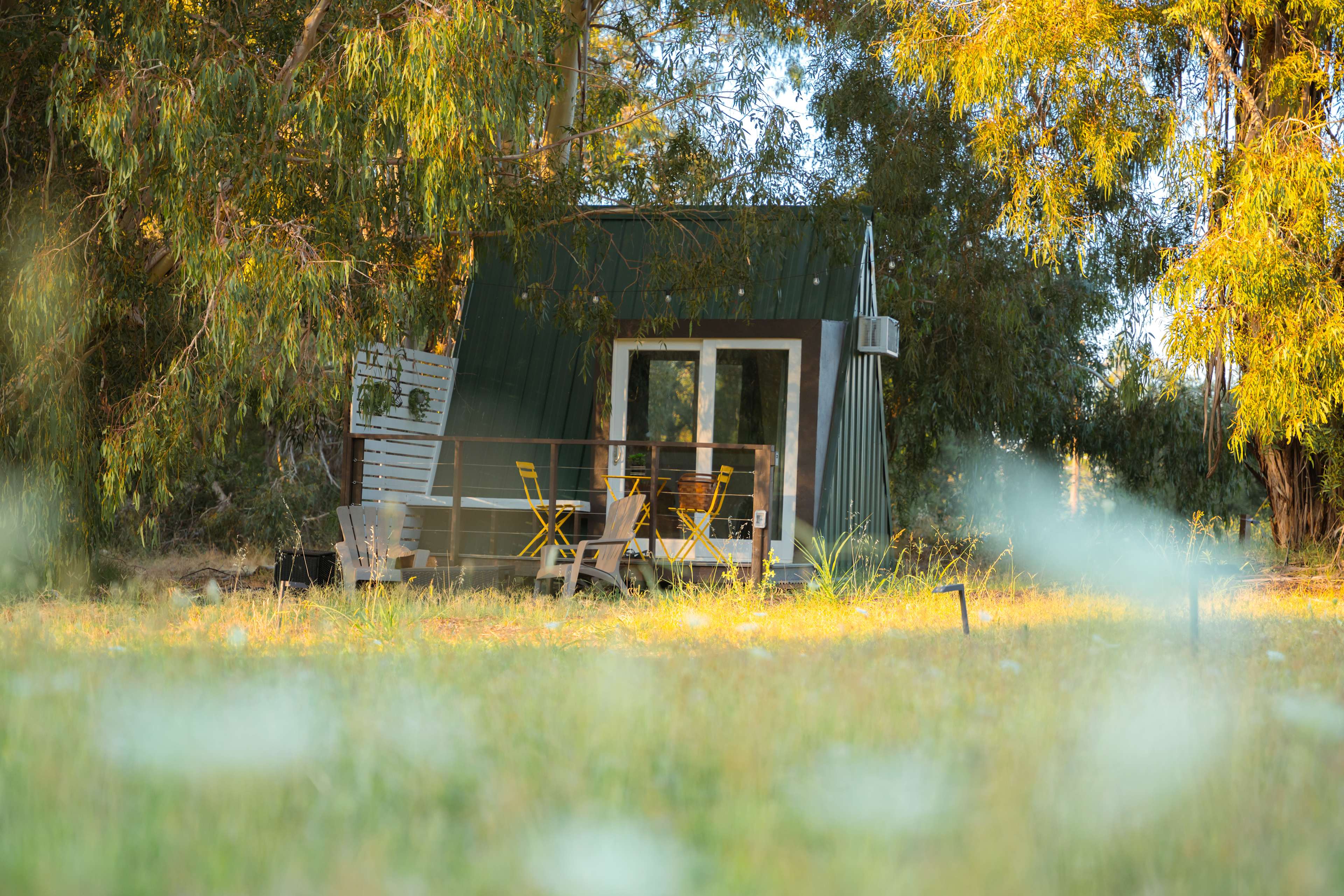 The cute A-Frame tucked away in the eucalyptus trees