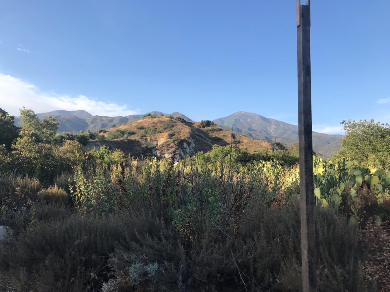The Ranch