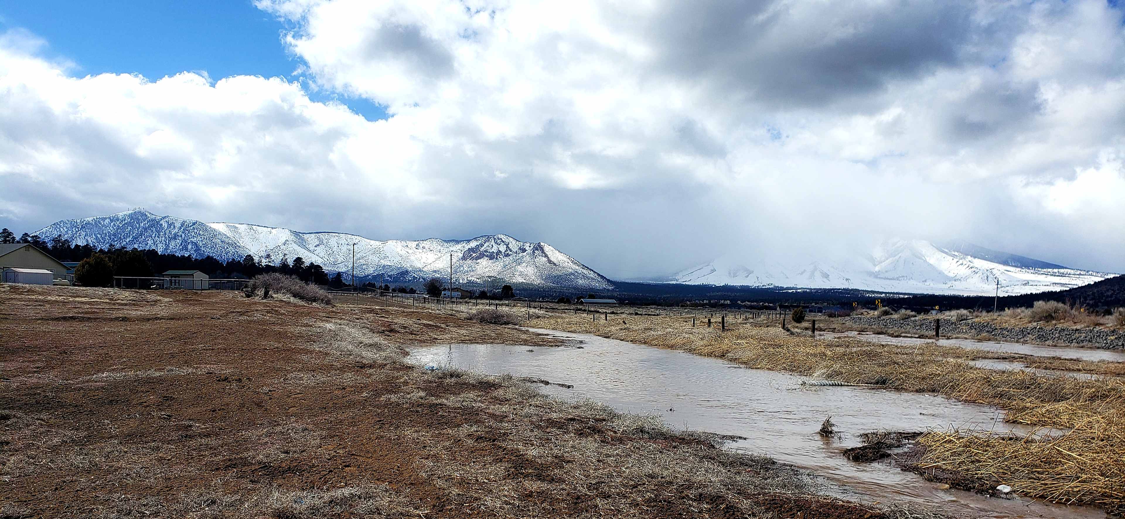 Back property view