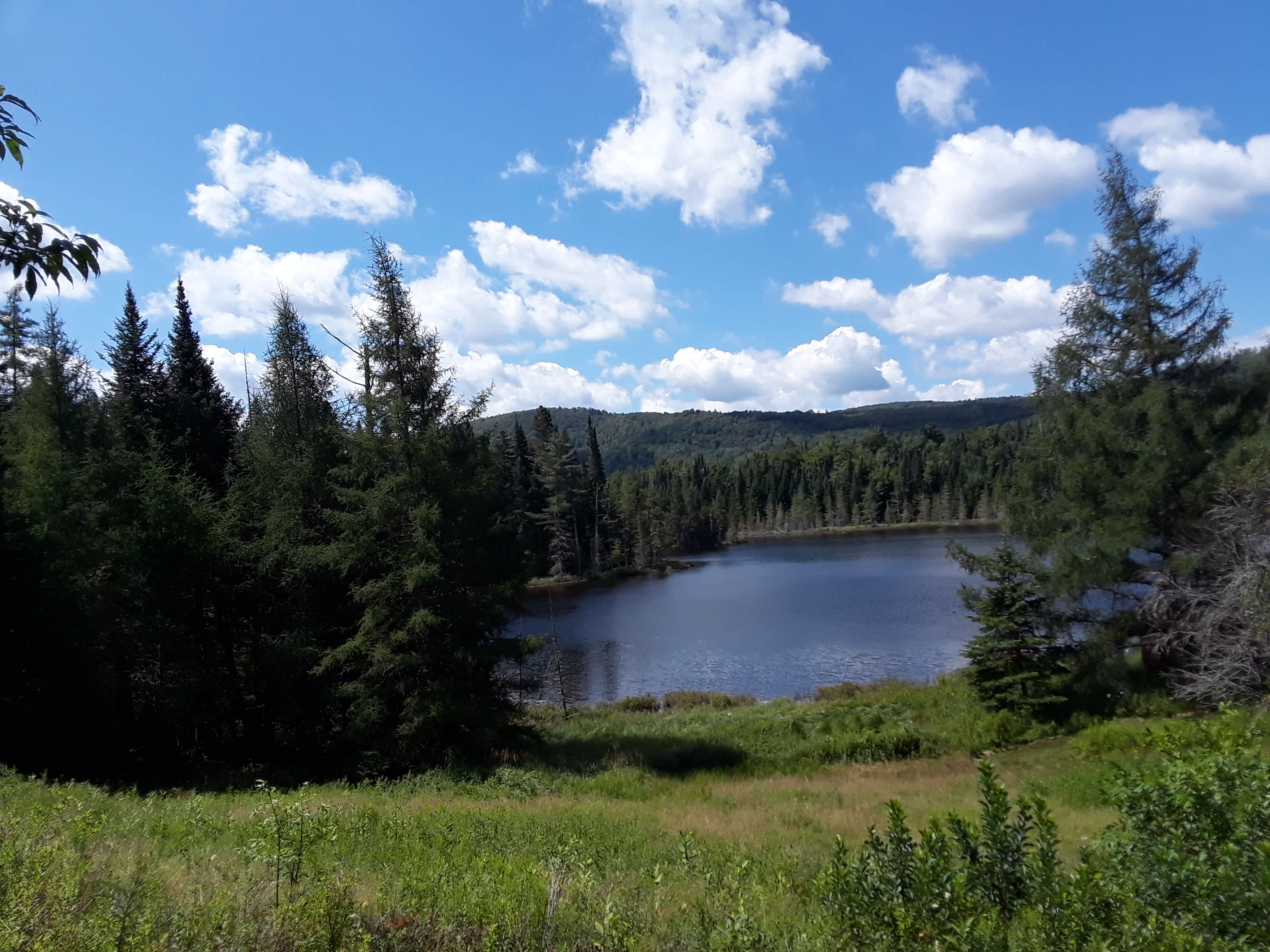 Ladd Pond Cabins and Campground