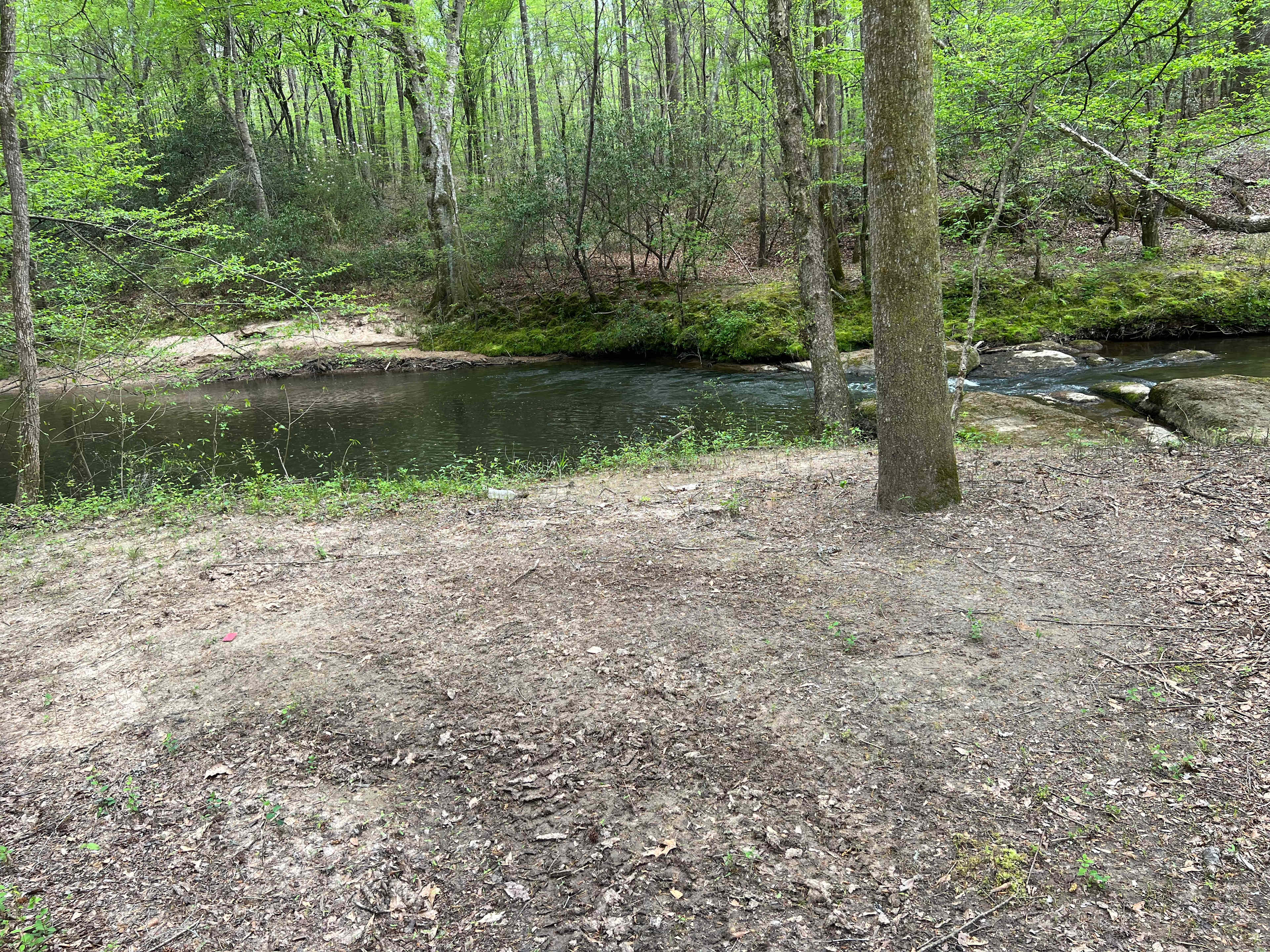 The swimming hole