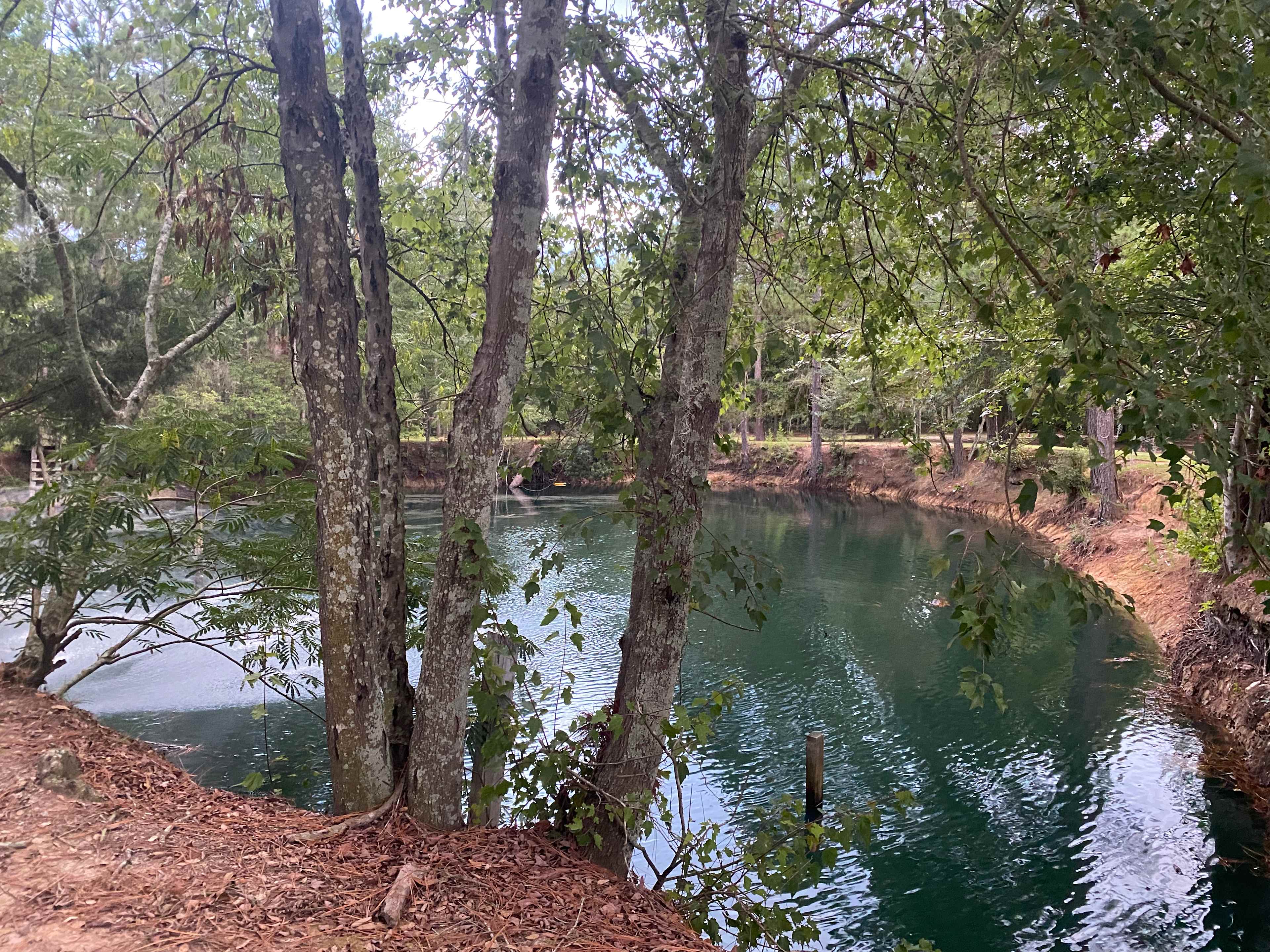 Artisan Spring for fishing and swimming. 