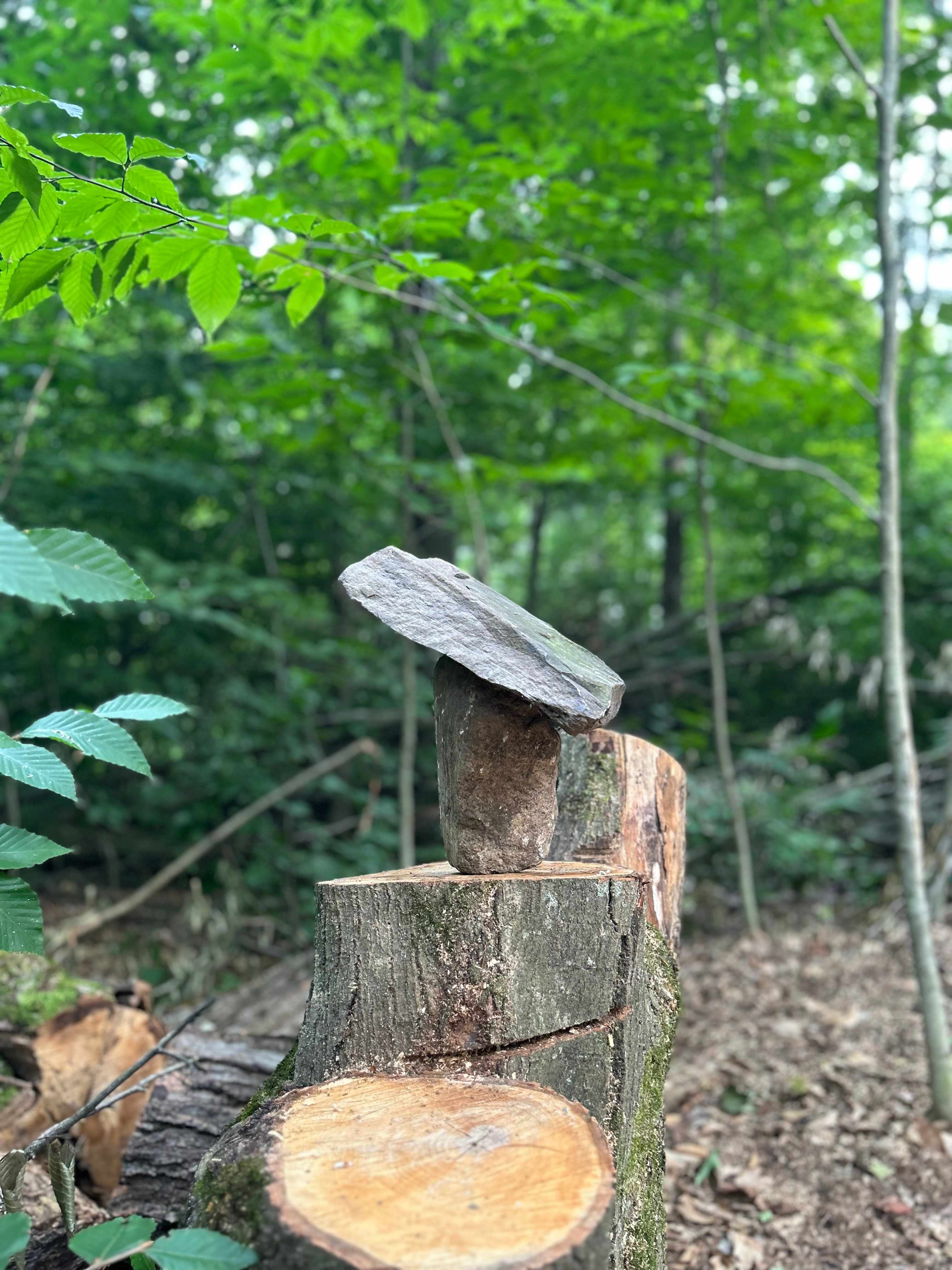 Wood Spring Club, Inc. (since 1957)