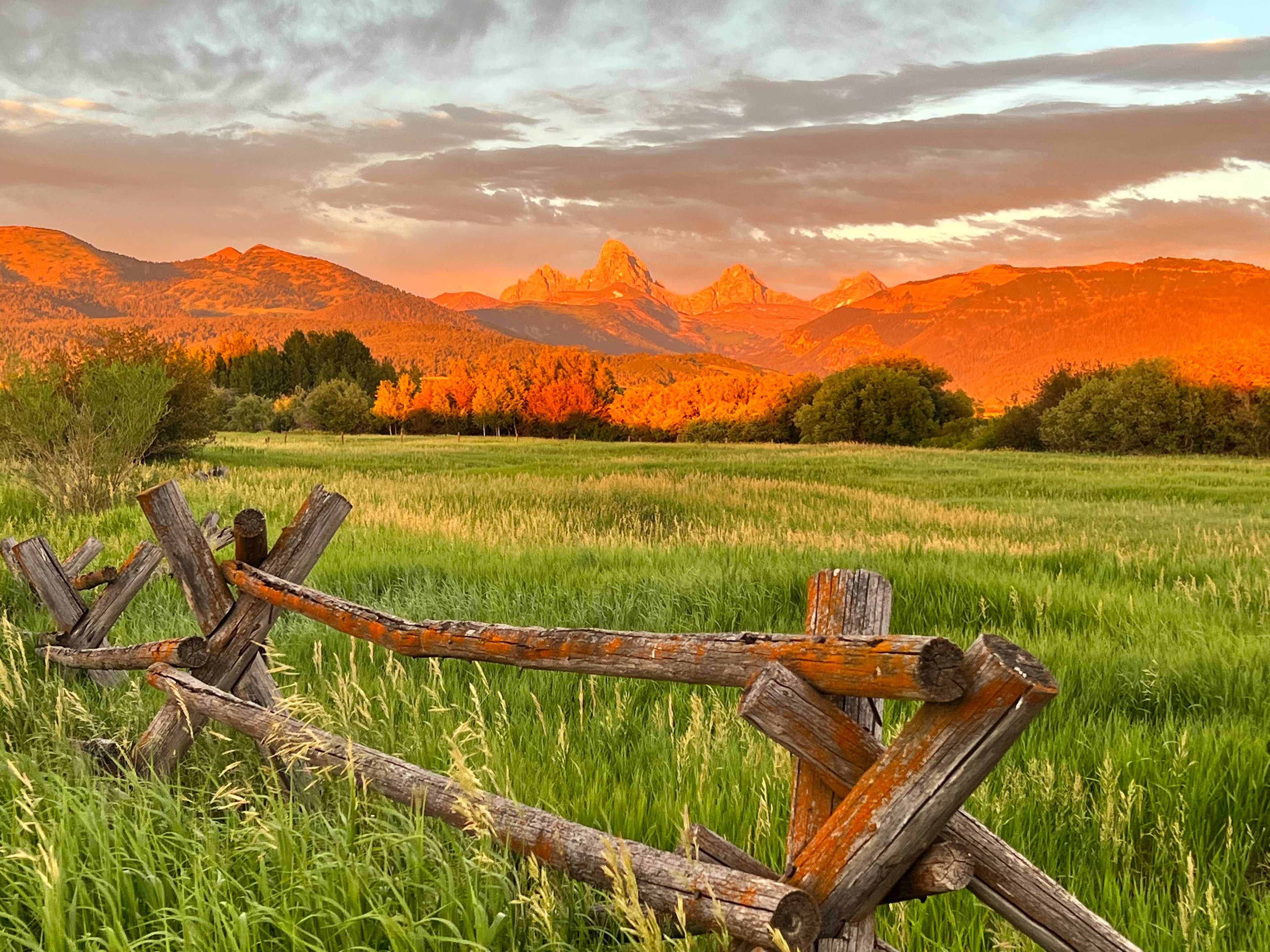 Ranchita Corazon of the Tetons