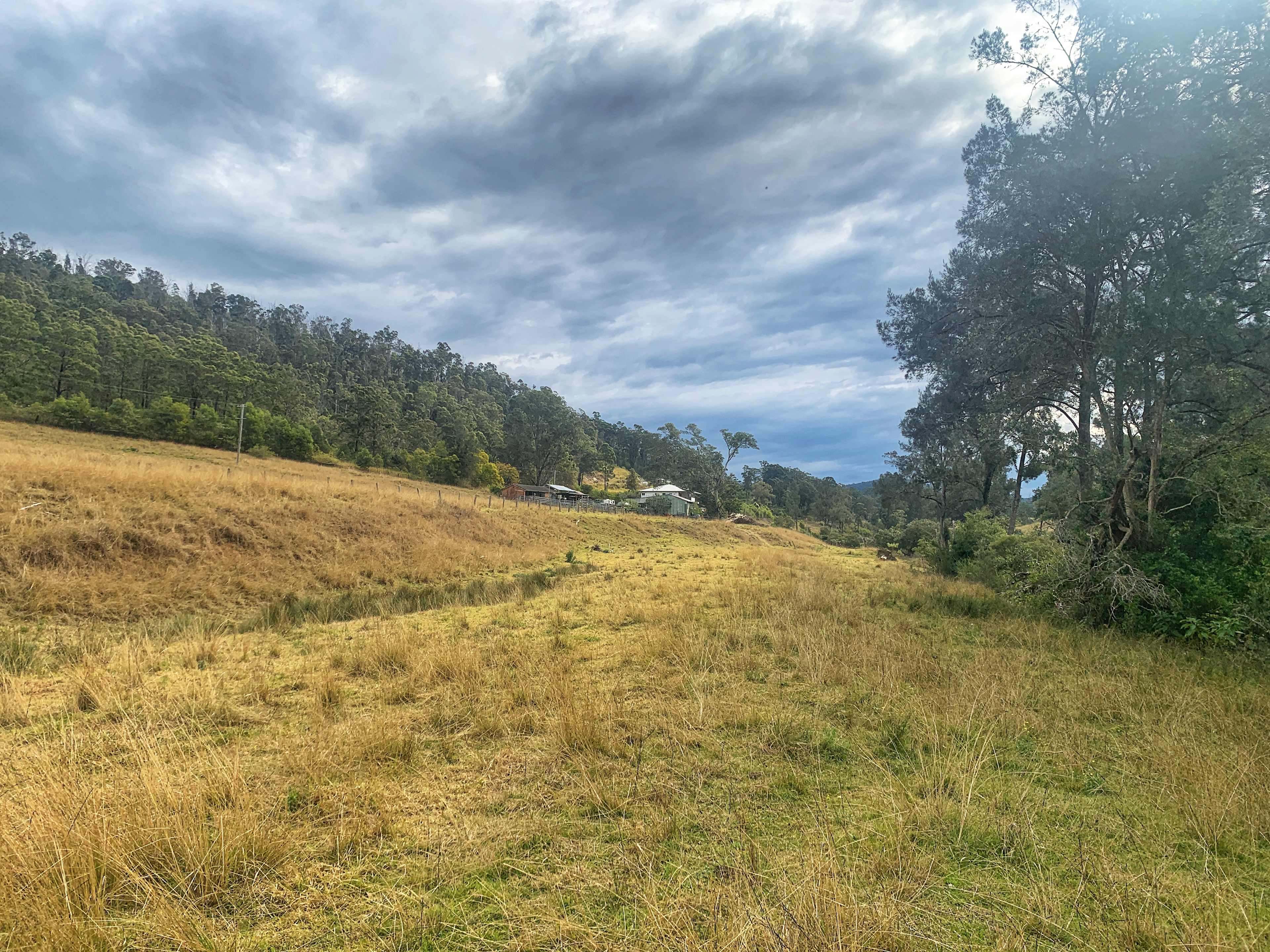 Looking from the other end of the site back towards the sheds and house.