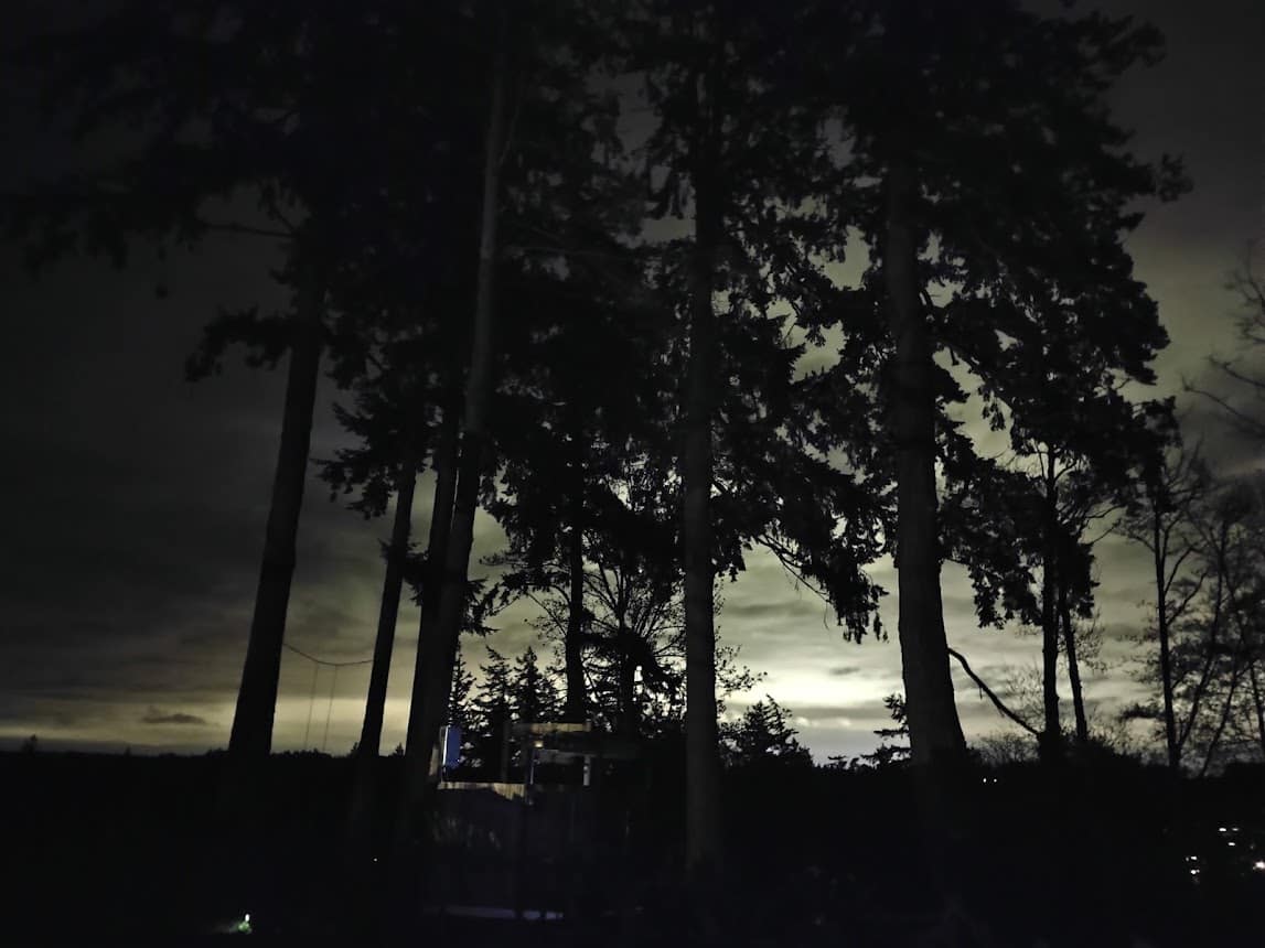A Taste of Whidbey