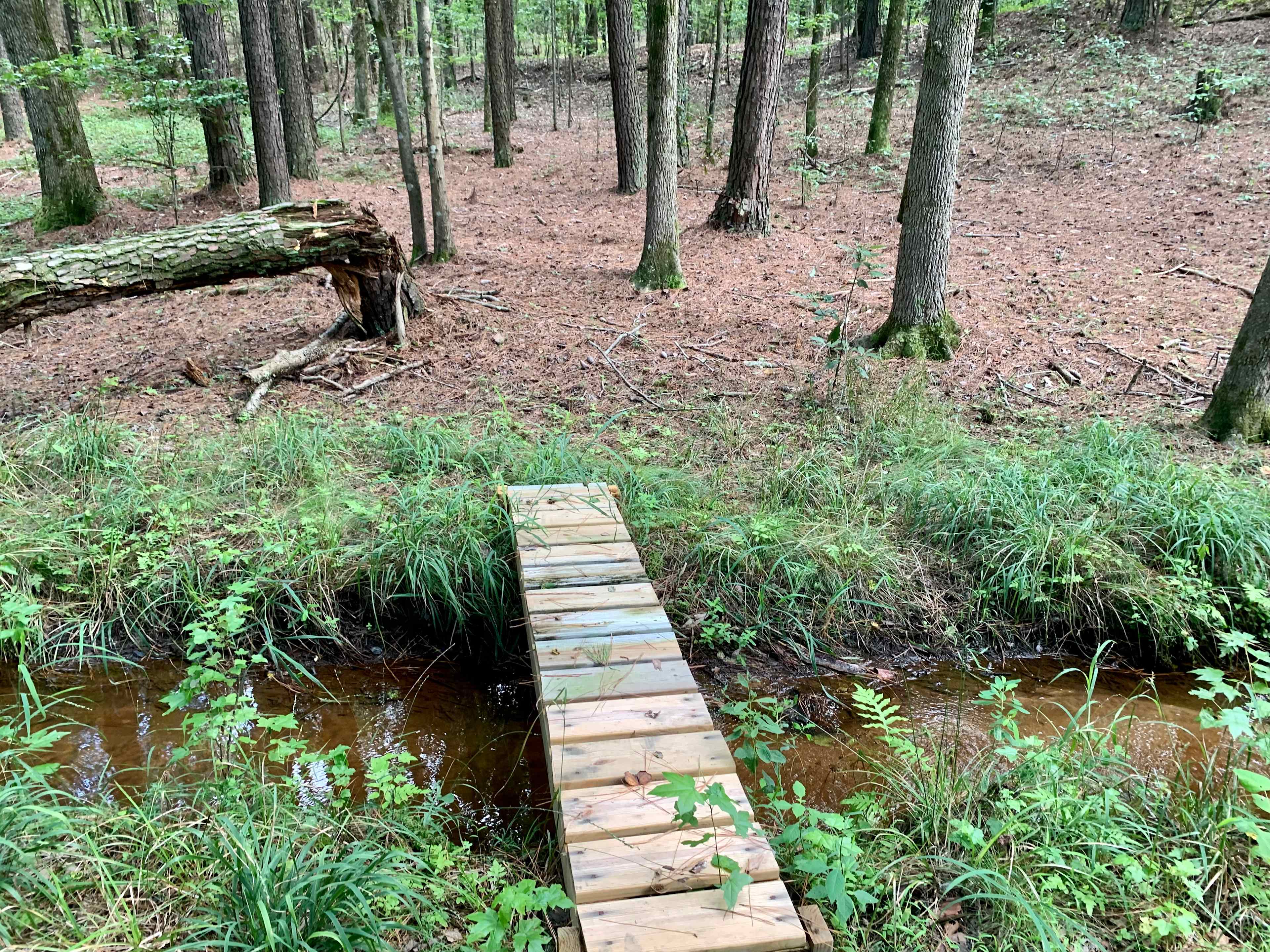Hickory Hollow