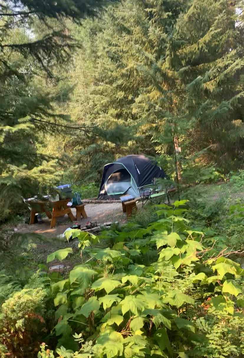 Taken from the path that joins each campsite and leads to the outhouse