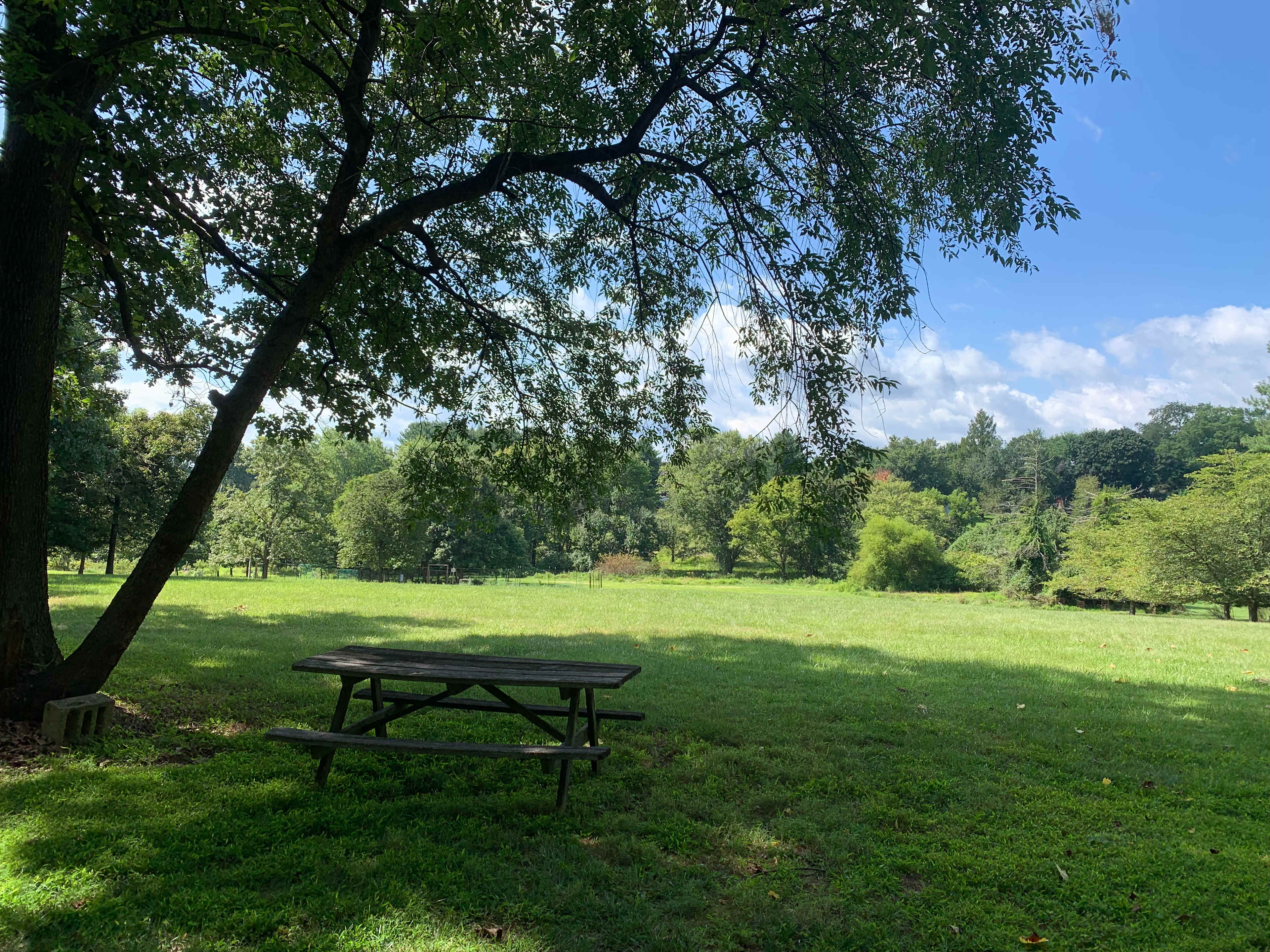 Stegan Farm