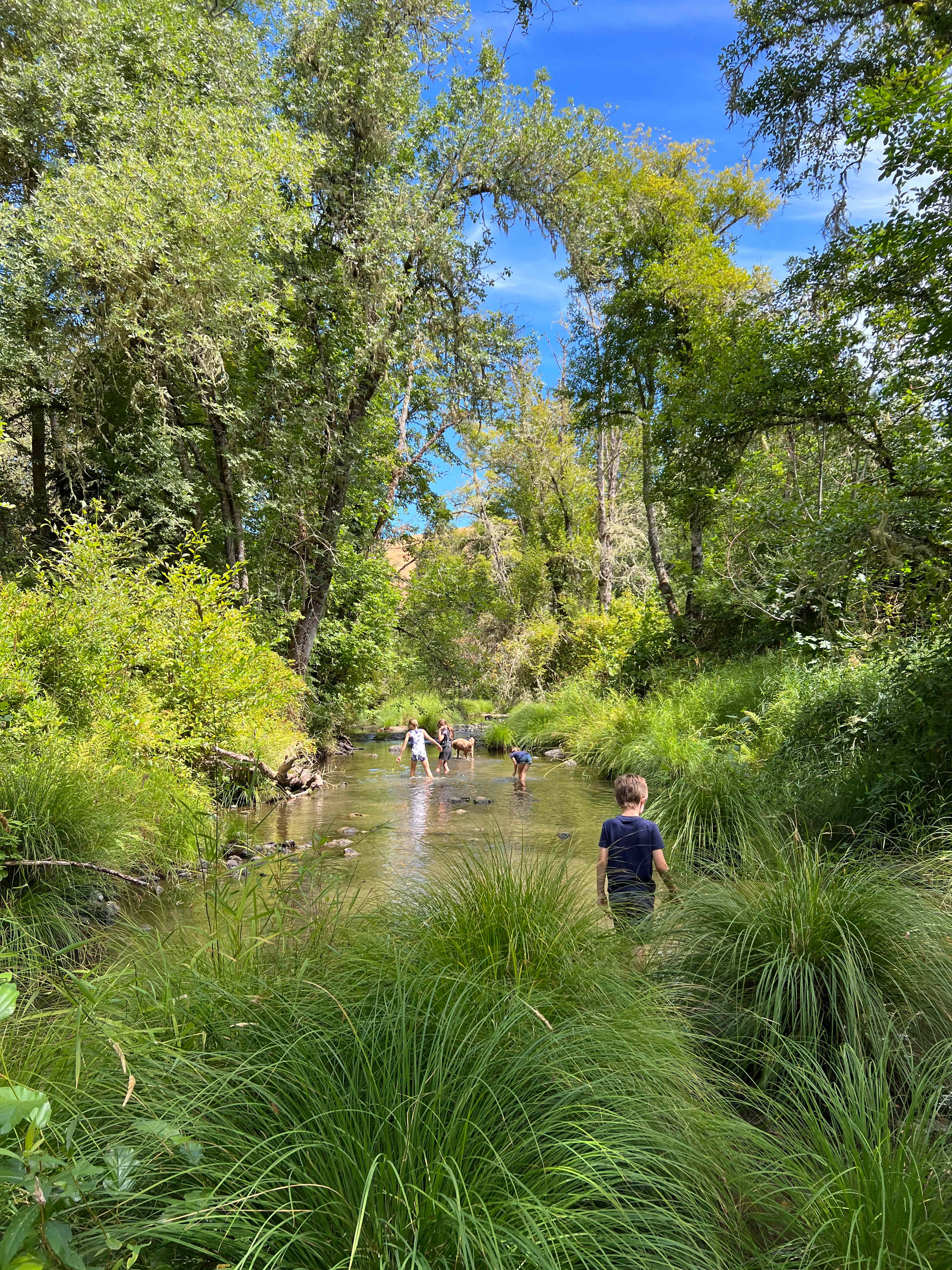 Applegate Century Farm